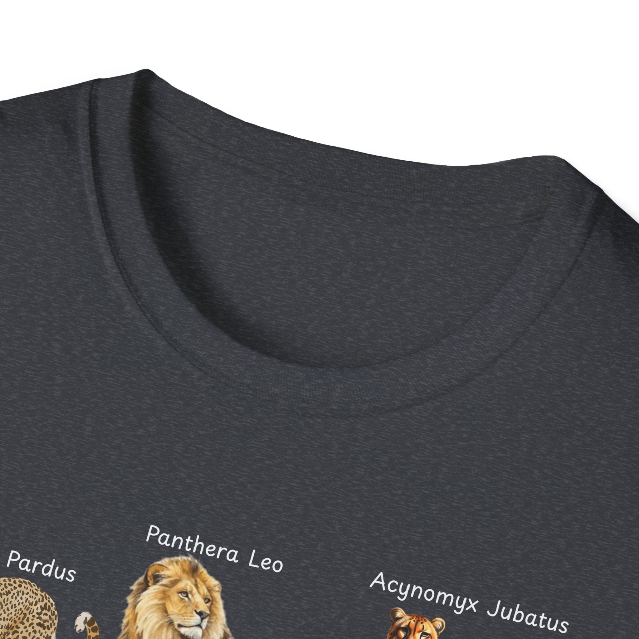Big Cats Chart T-Shirt — Vintage Illustrated Wild Cat Identification Tee