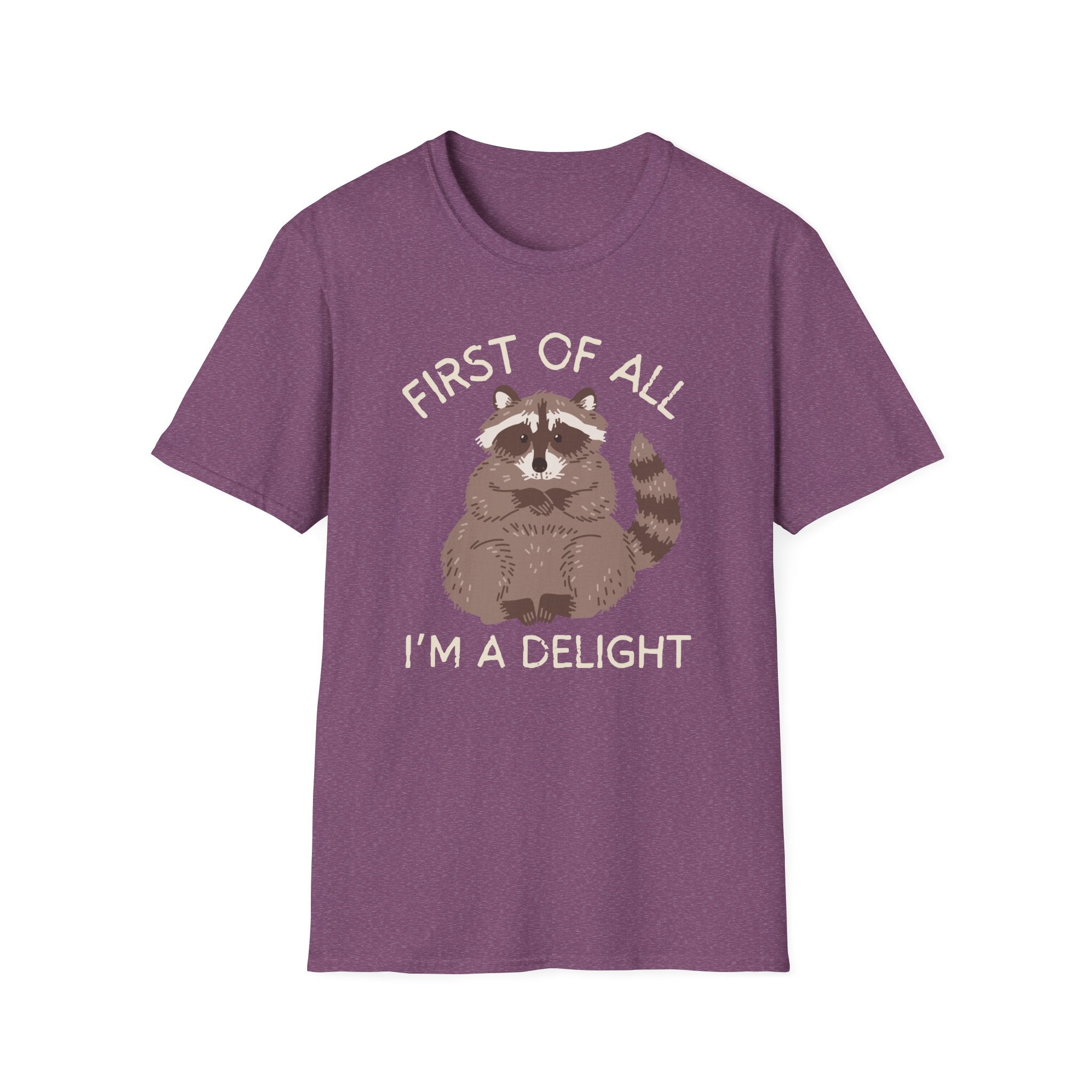 Raccoon 'First of All I'm a Delight' Cute Graphic T-Shirt