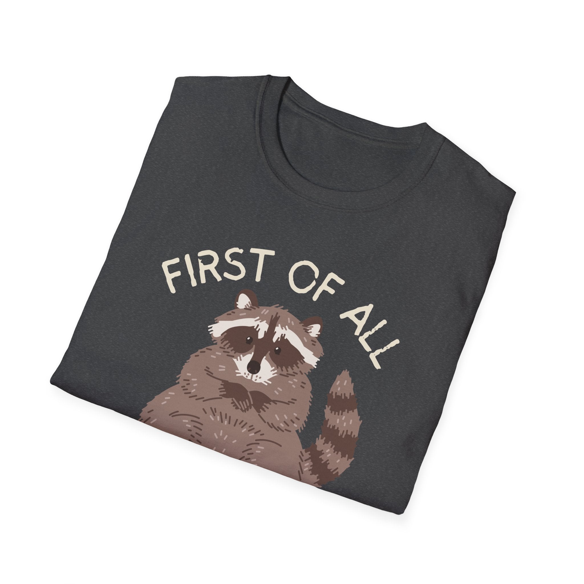 Raccoon 'First of All I'm a Delight' Cute Graphic T-Shirt