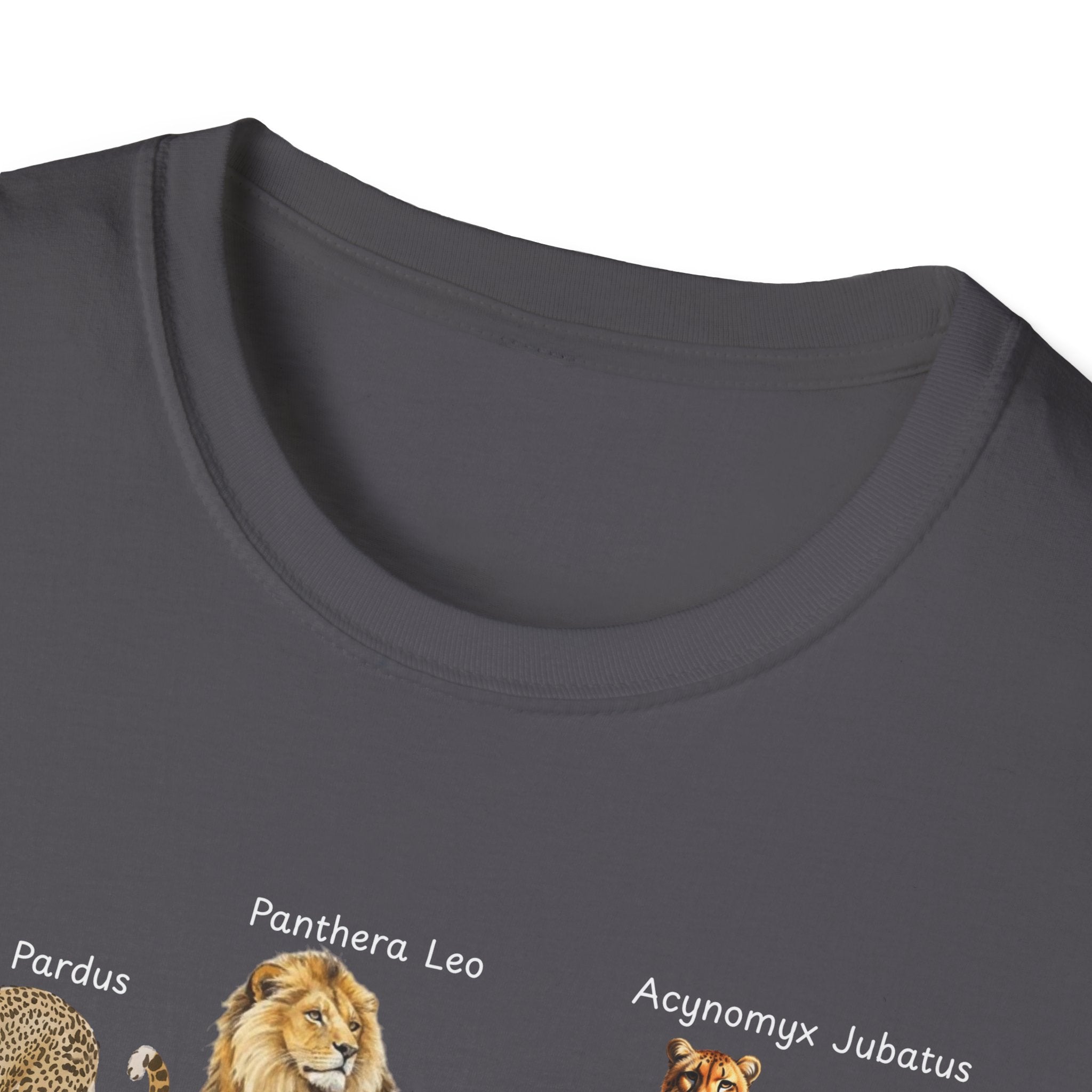 Big Cats Chart T-Shirt — Vintage Illustrated Wild Cat Identification Tee