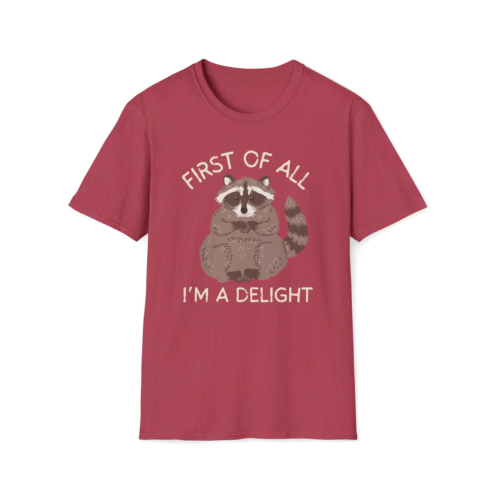 Raccoon 'First of All I'm a Delight' Cute Graphic T-Shirt