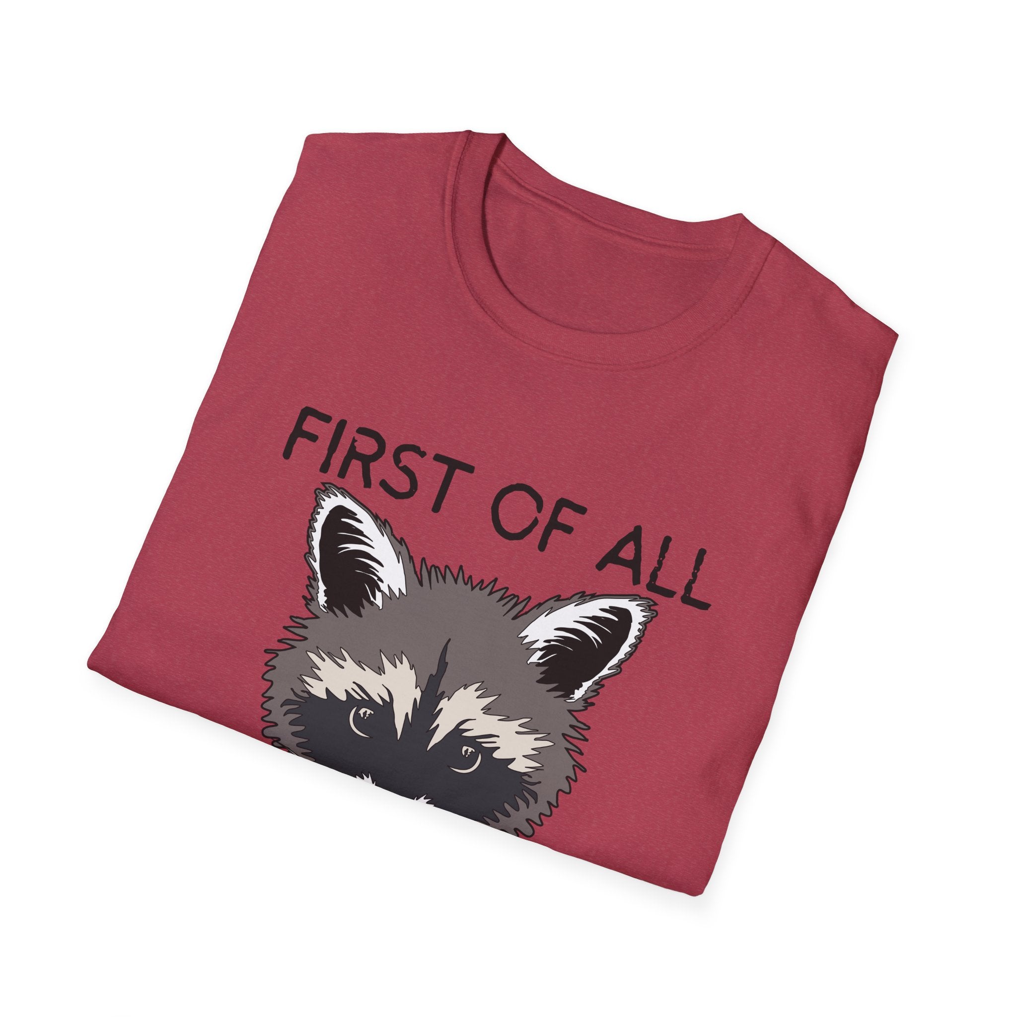Raccoon 'First of All I'm a Delight' Graphic T-Shirt