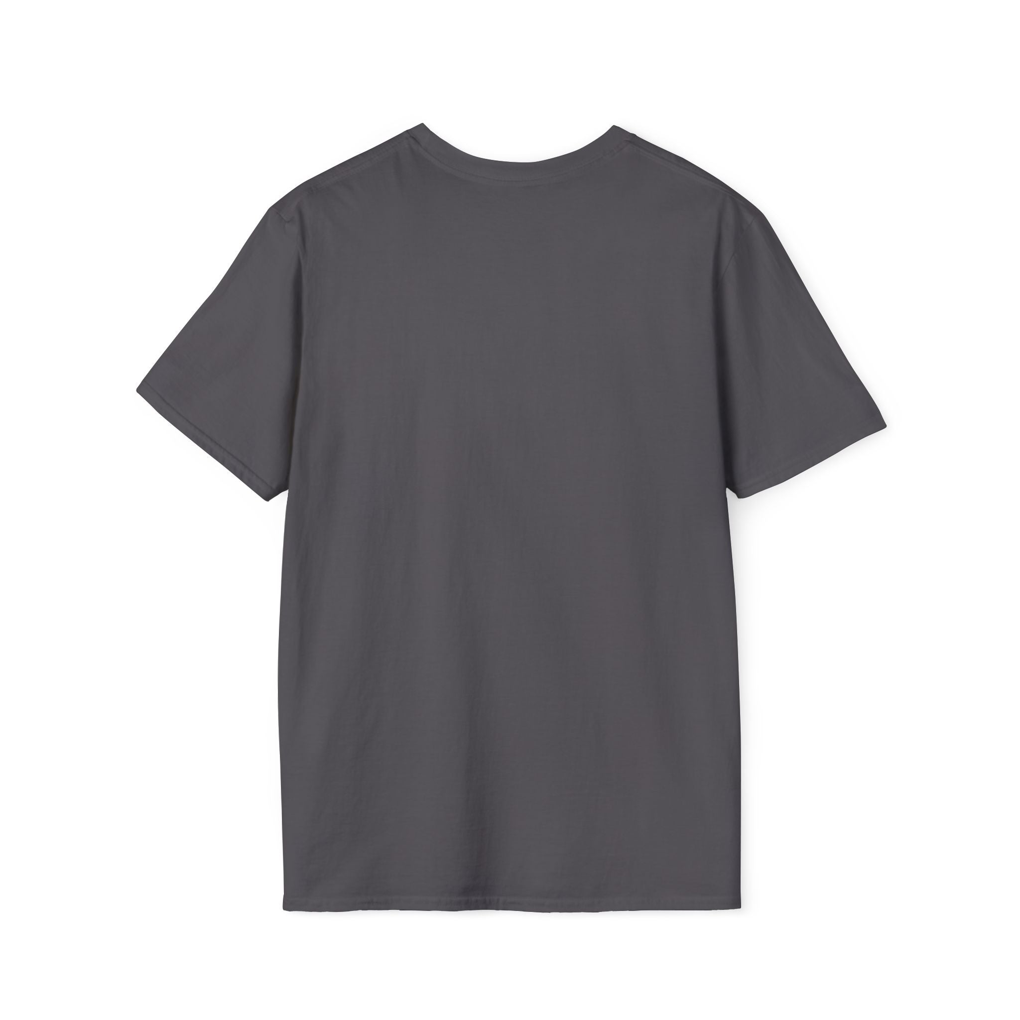 Raccoon 'First of All I'm a Delight' T-Shirt
