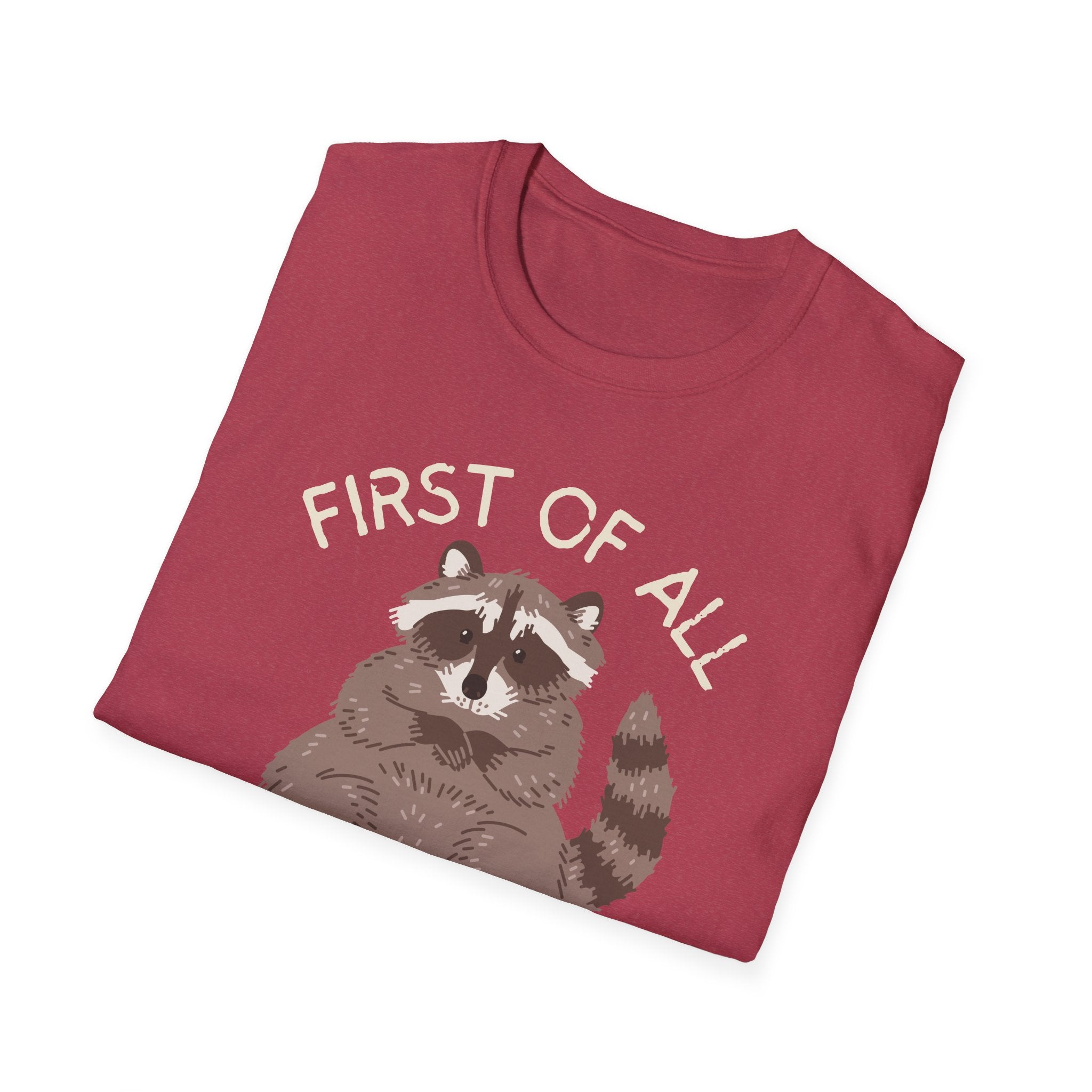 Raccoon 'First of All I'm a Delight' Cute Graphic T-Shirt