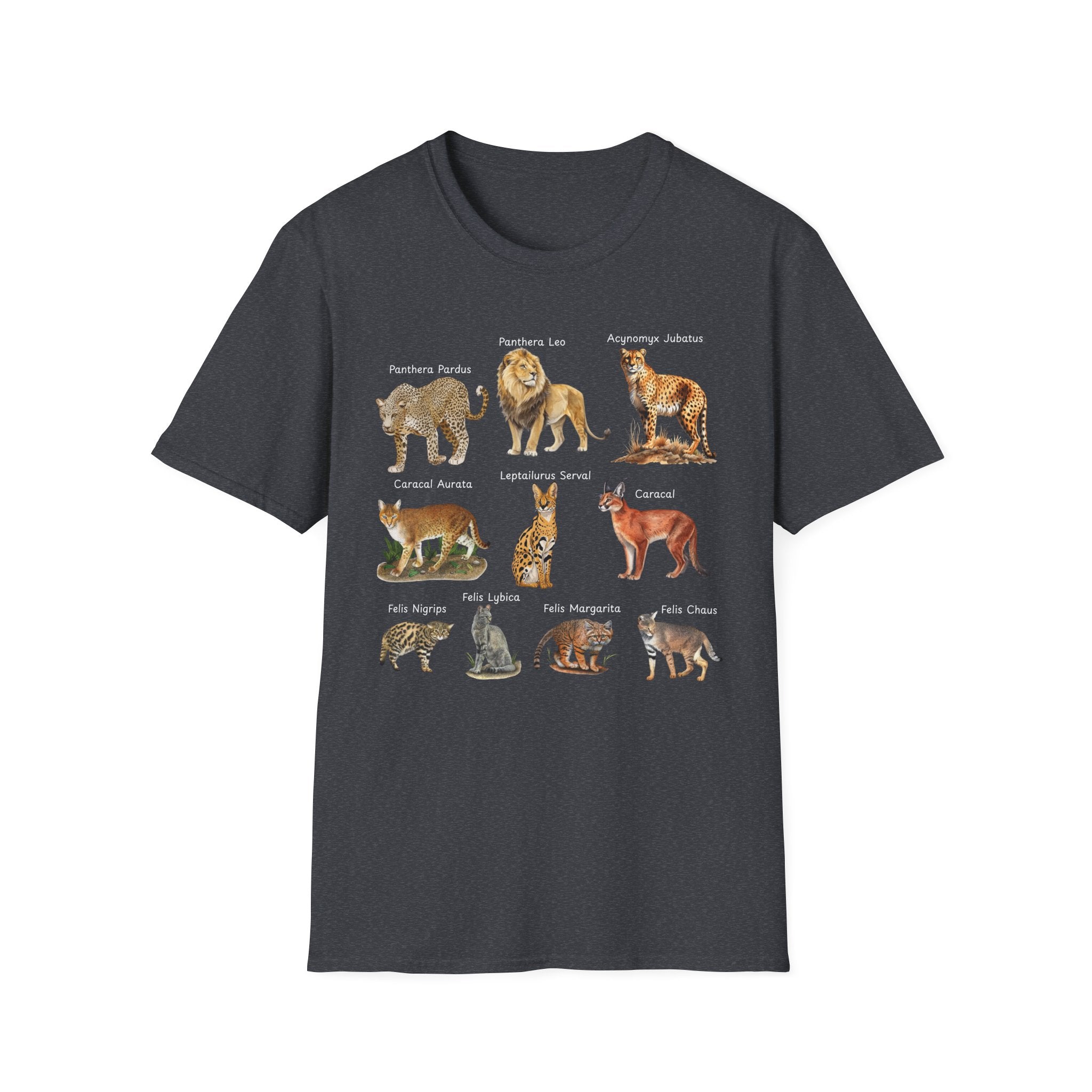 Big Cats Chart T-Shirt — Vintage Illustrated Wild Cat Identification Tee