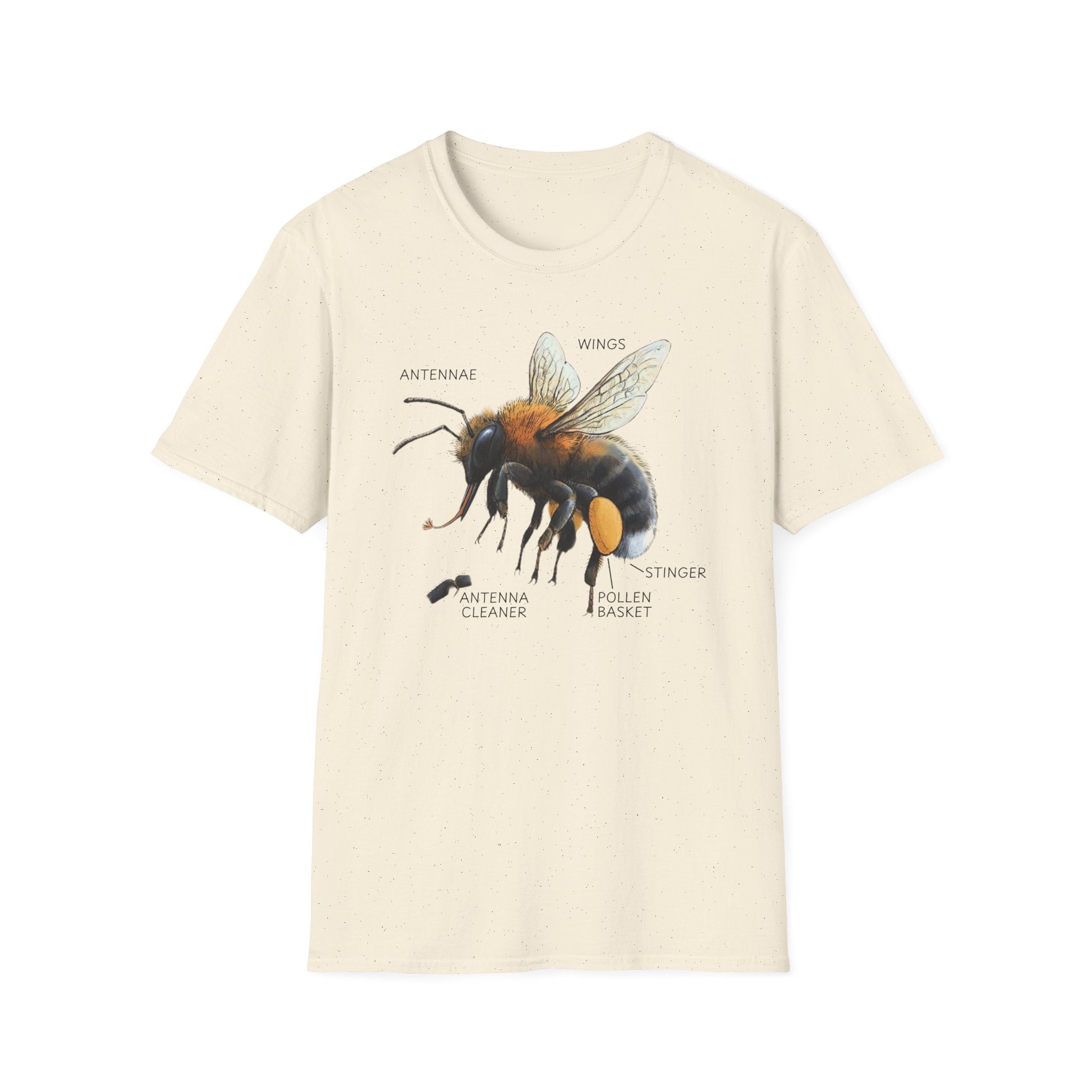 Bee Anatomy T-Shirt — Vintage Scientific Honey Bee Diagram Tee