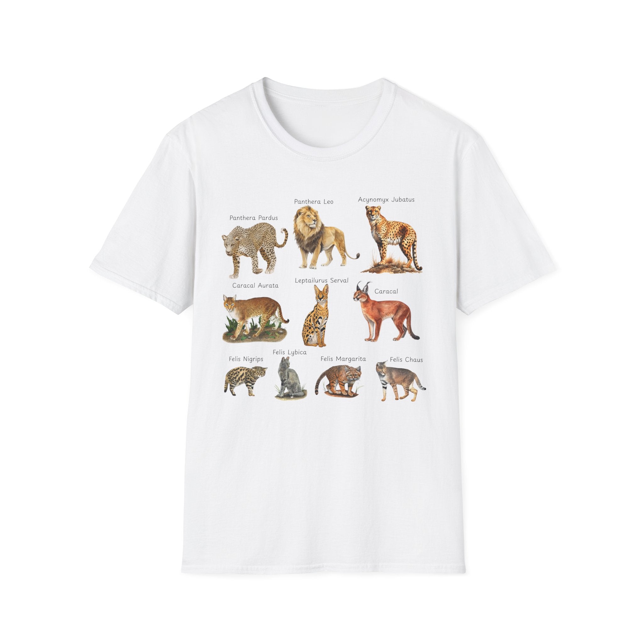 Big Cats Chart T-Shirt — Vintage Illustrated Wild Cat Identification Tee
