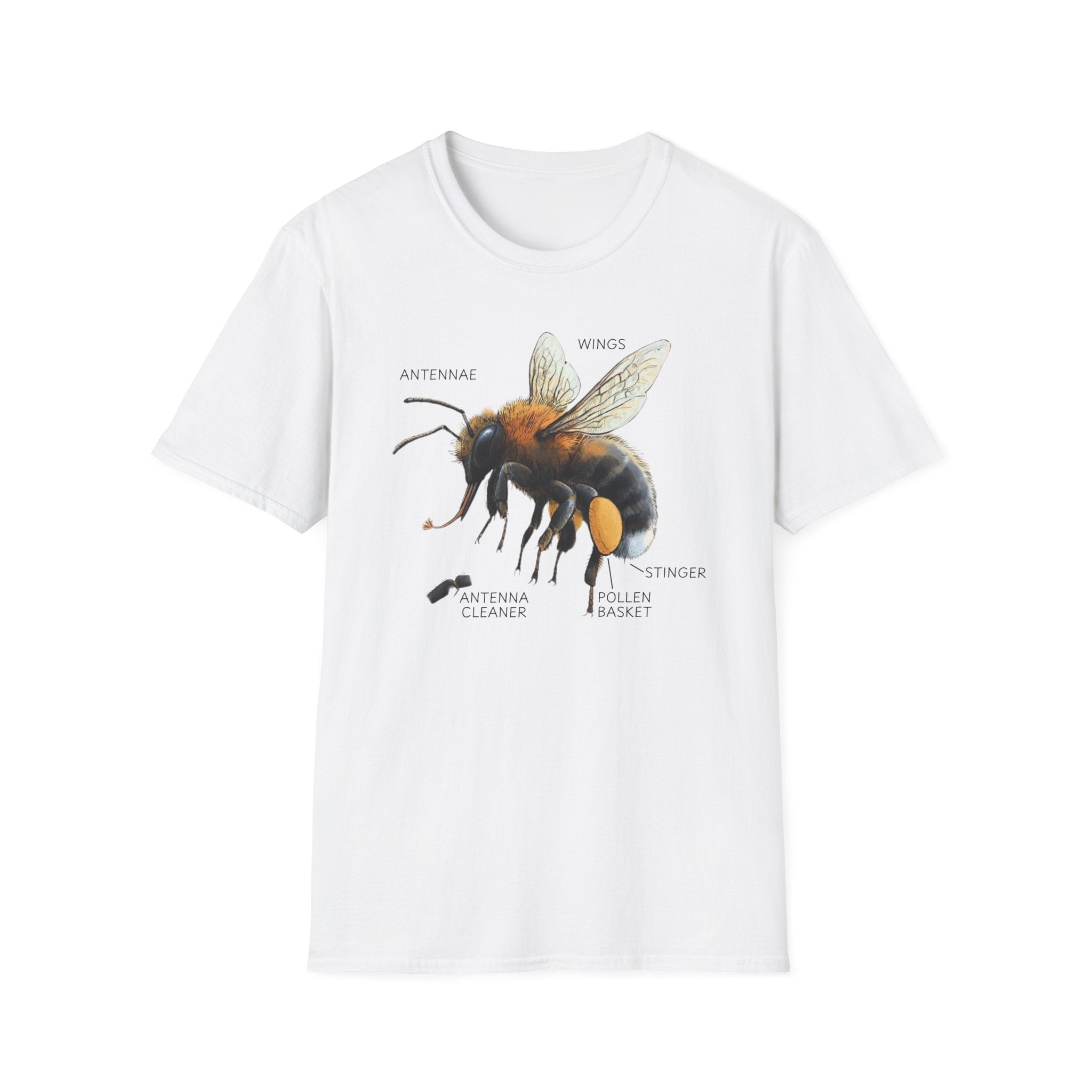 Bee Anatomy T-Shirt — Vintage Scientific Honey Bee Diagram Tee