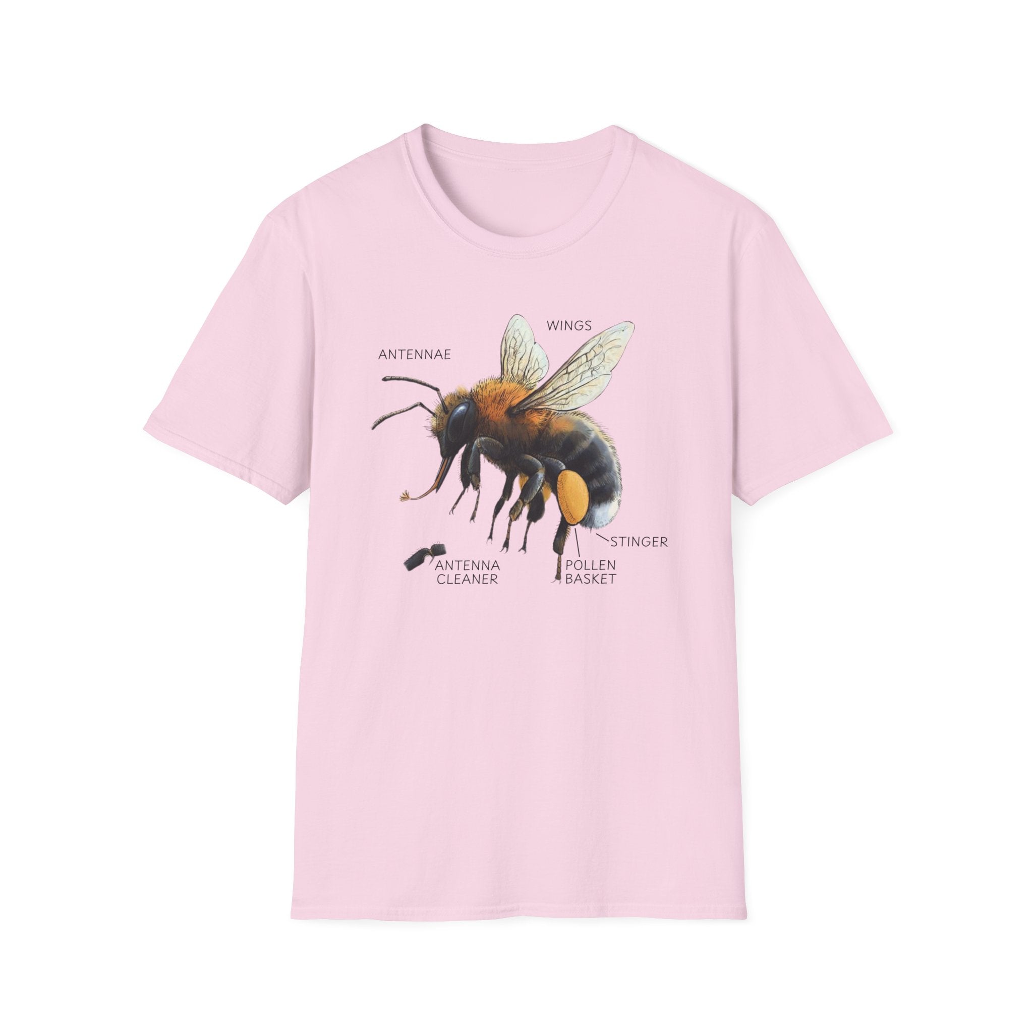 Bee Anatomy T-Shirt — Vintage Scientific Honey Bee Diagram Tee