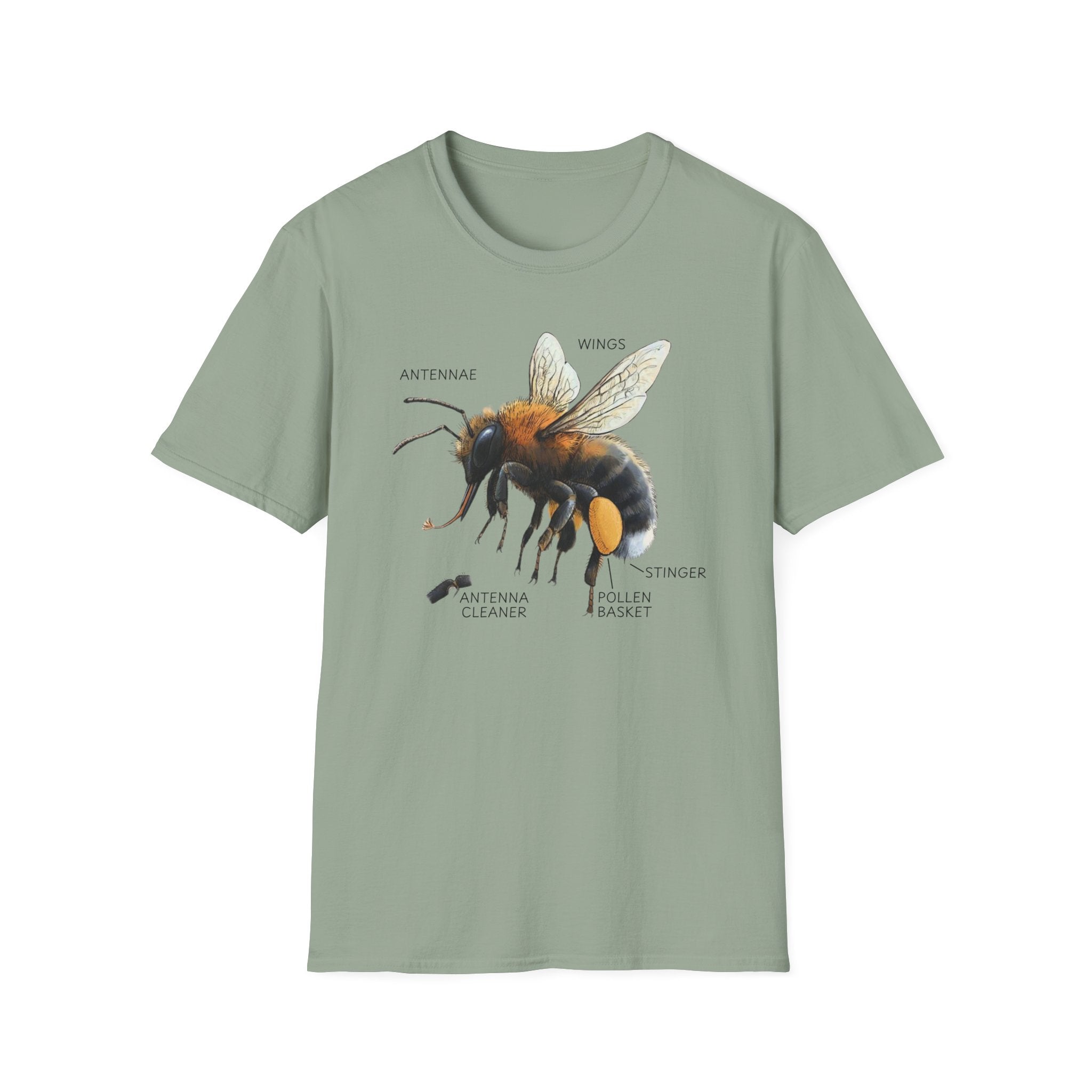 Bee Anatomy T-Shirt — Vintage Scientific Honey Bee Diagram Tee
