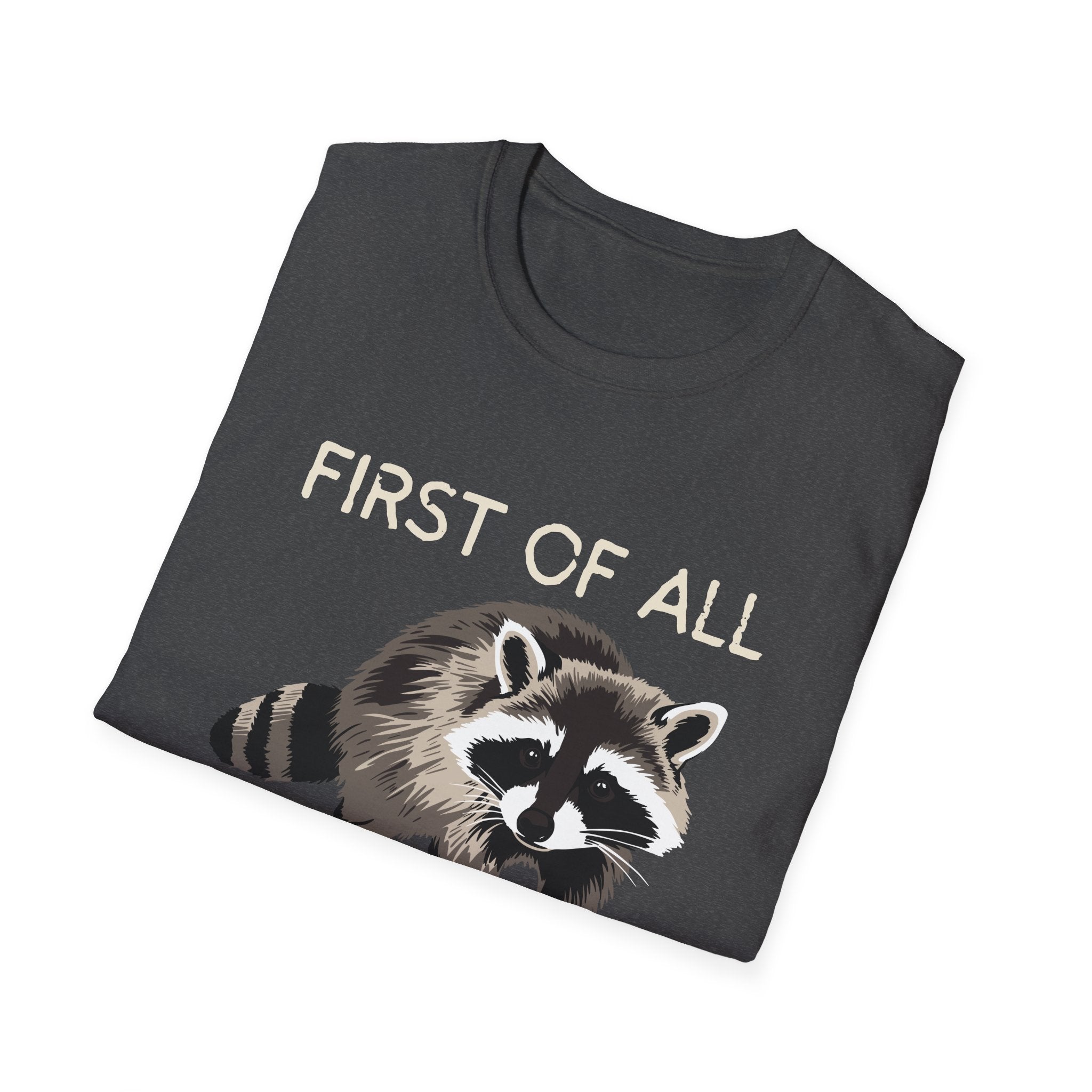 Raccoon ‘First of All I’m a Delight’ Graphic T‑Shirt