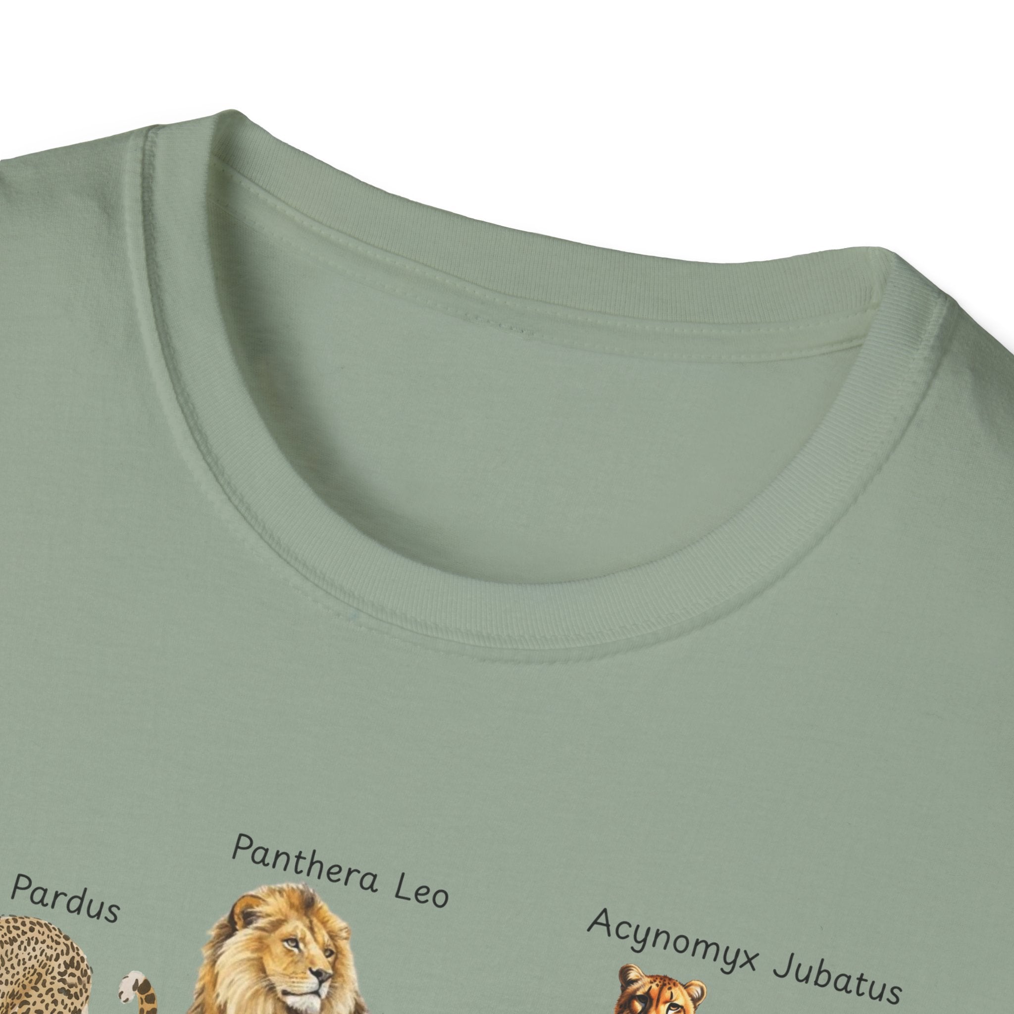 Big Cats Chart T-Shirt — Vintage Illustrated Wild Cat Identification Tee