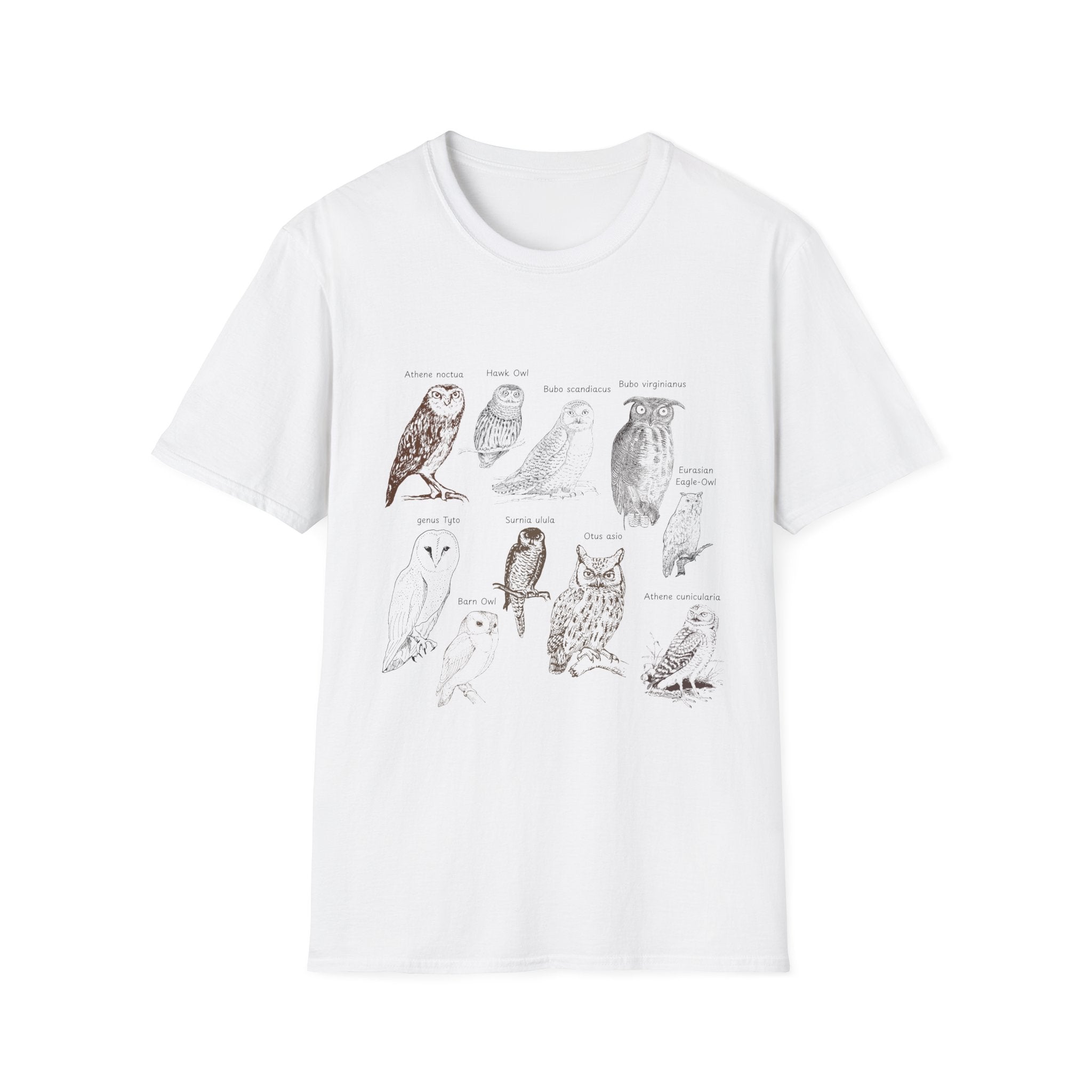 Owl Field Guide T-Shirt — Vintage Bird Illustration Tee