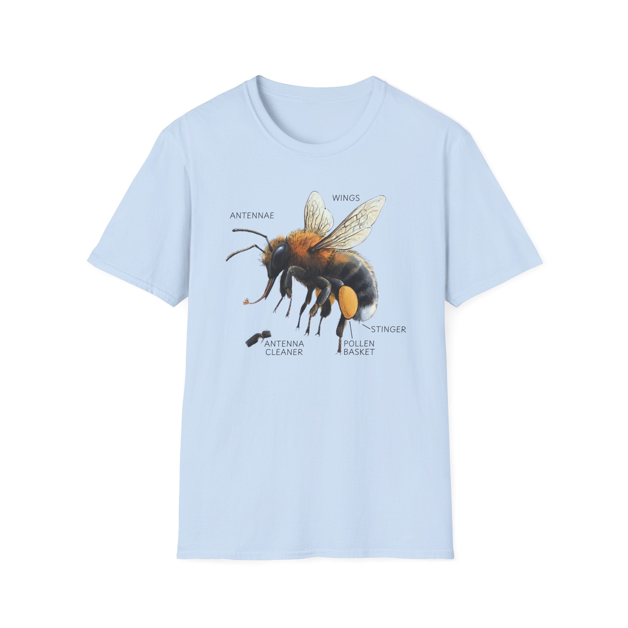 Bee Anatomy T-Shirt — Vintage Scientific Honey Bee Diagram Tee
