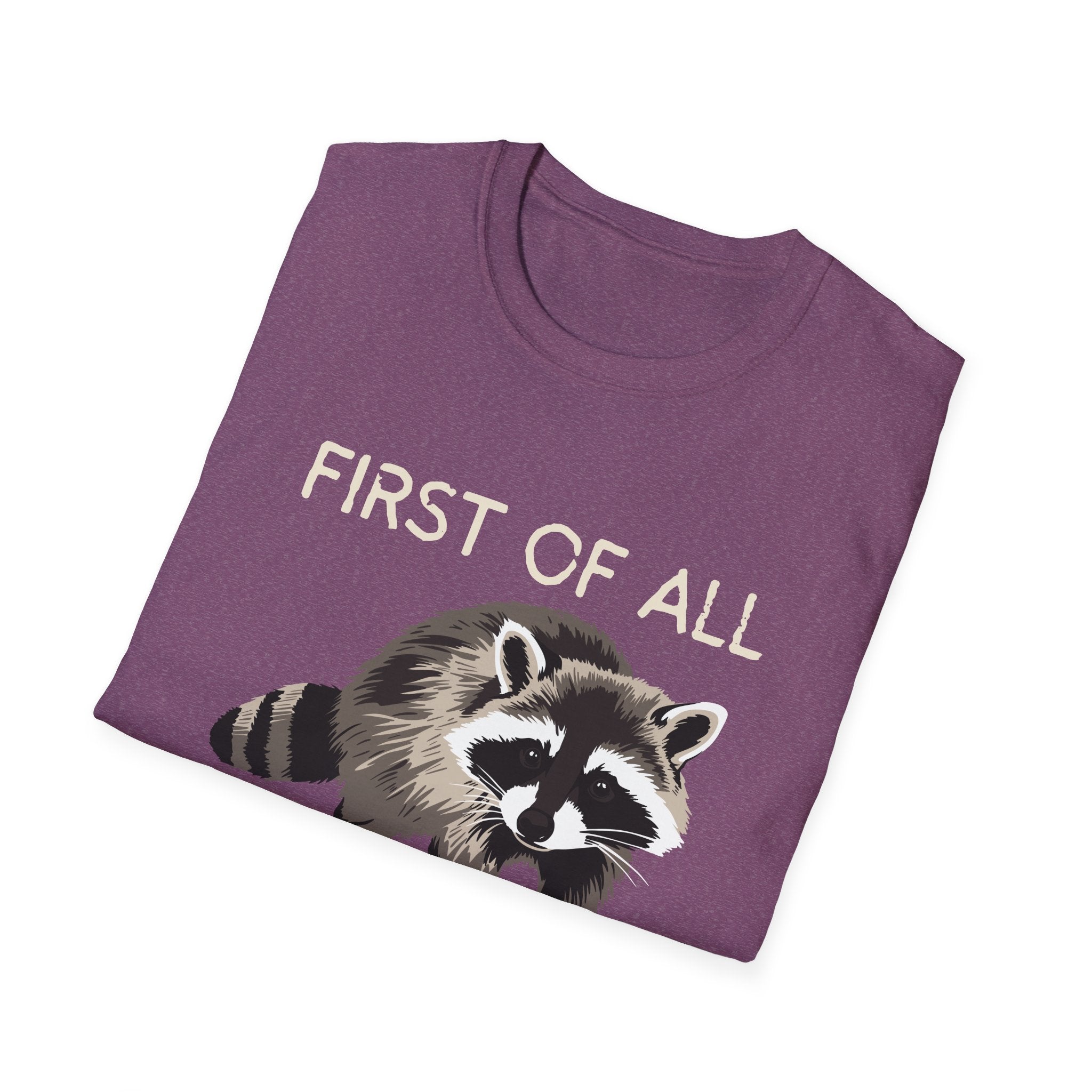 Raccoon ‘First of All I’m a Delight’ Graphic T‑Shirt
