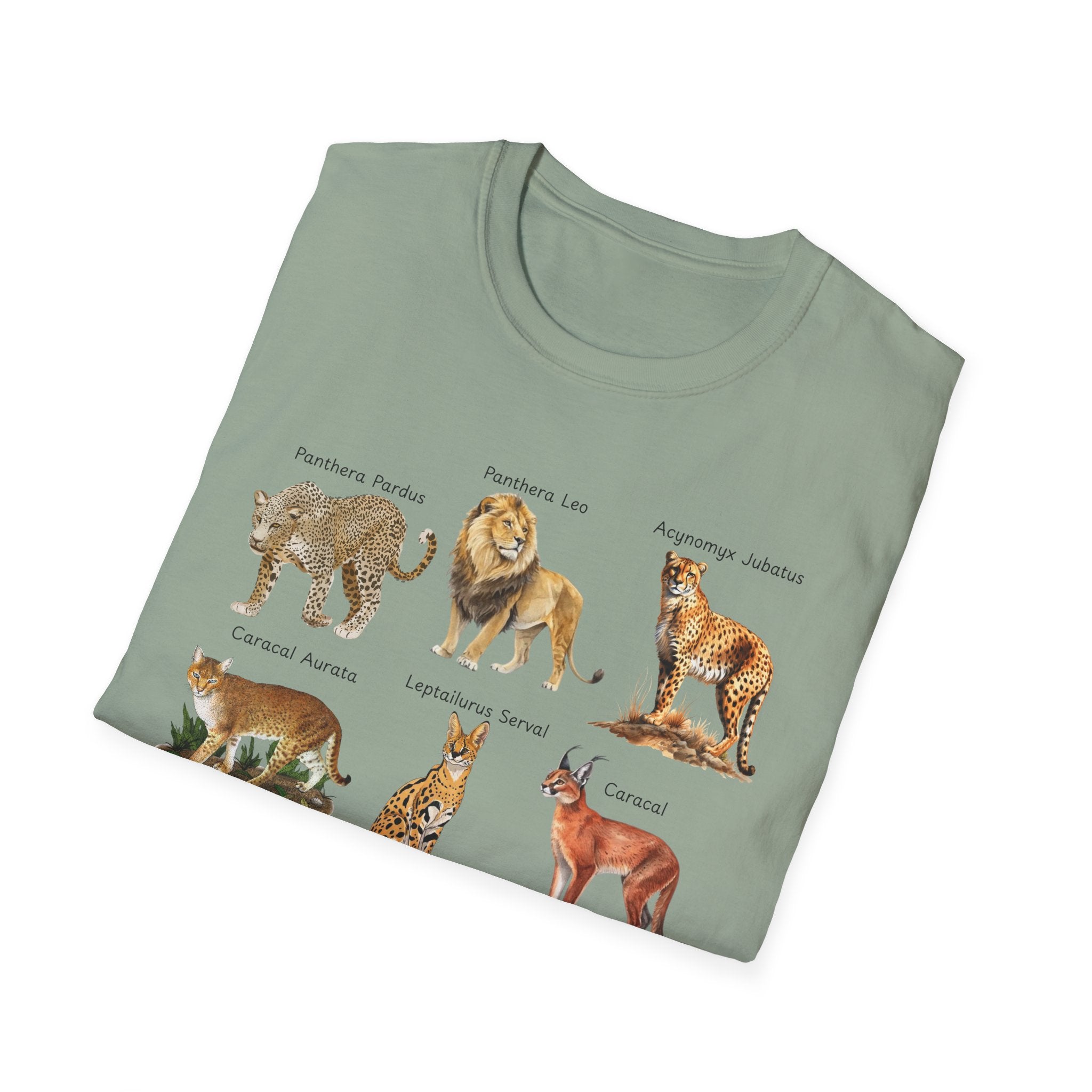 Big Cats Chart T-Shirt — Vintage Illustrated Wild Cat Identification Tee