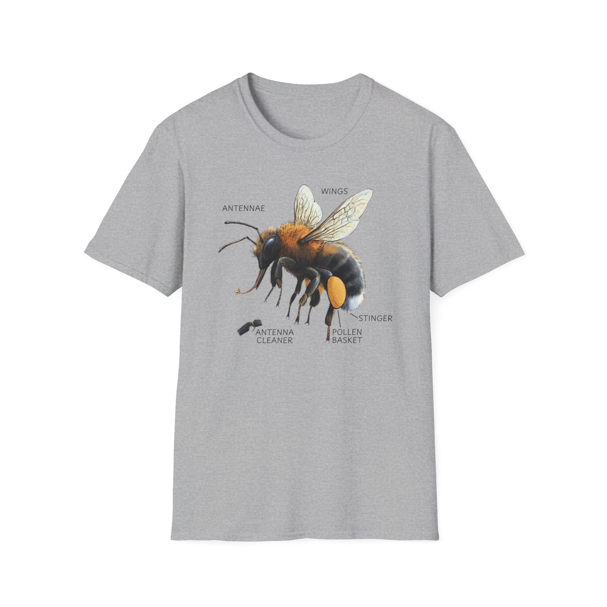Bee Anatomy T-Shirt — Vintage Scientific Honey Bee Diagram Tee