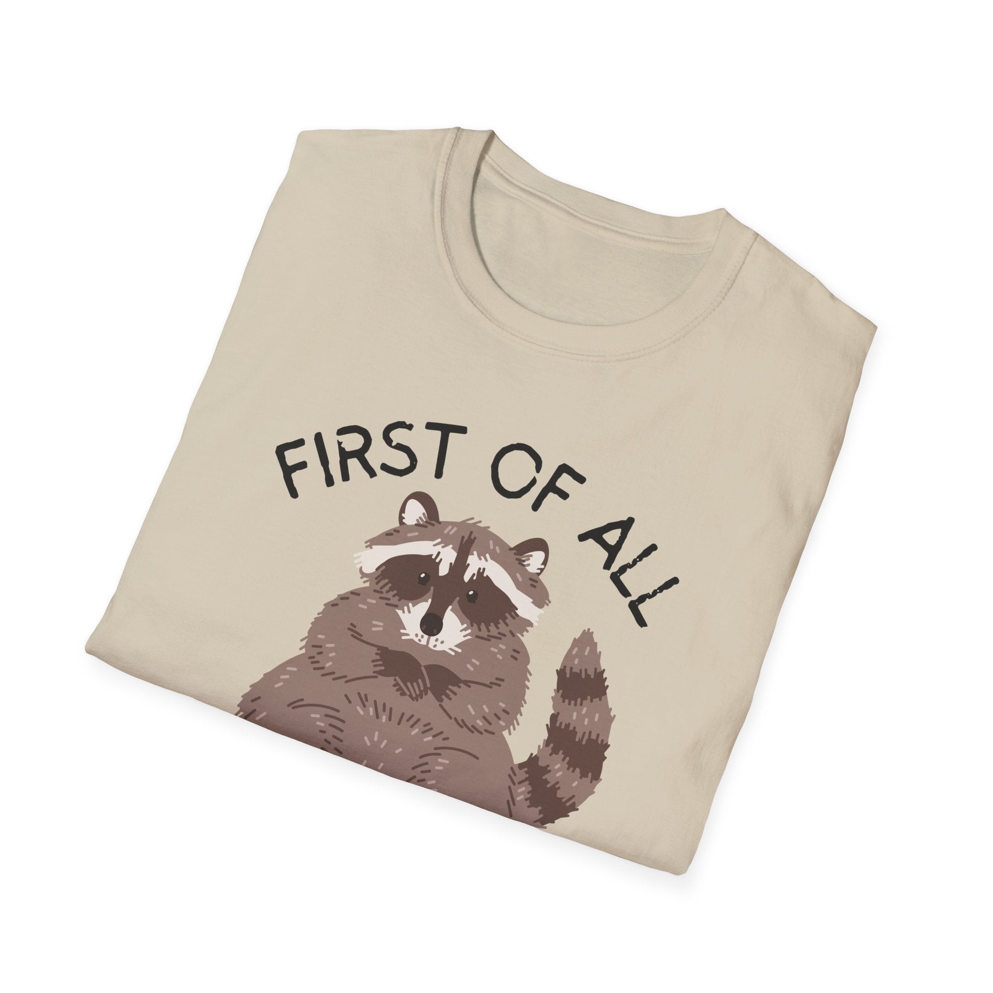 Raccoon 'First of All I'm a Delight' Cute Graphic T-Shirt