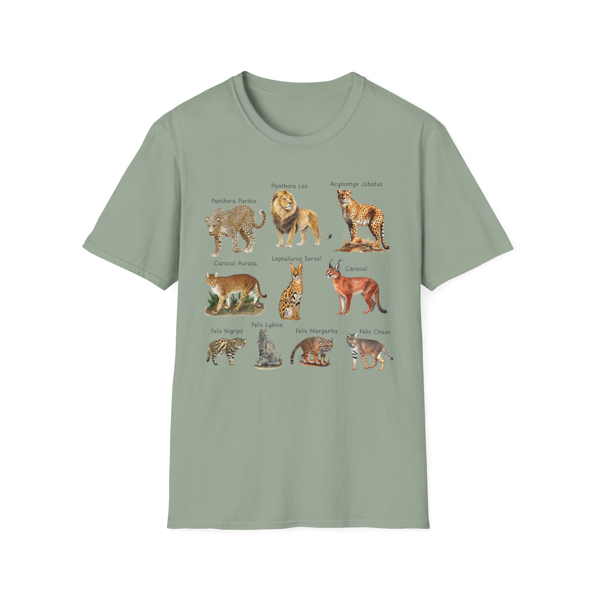 Big Cats Chart T-Shirt — Vintage Illustrated Wild Cat Identification Tee