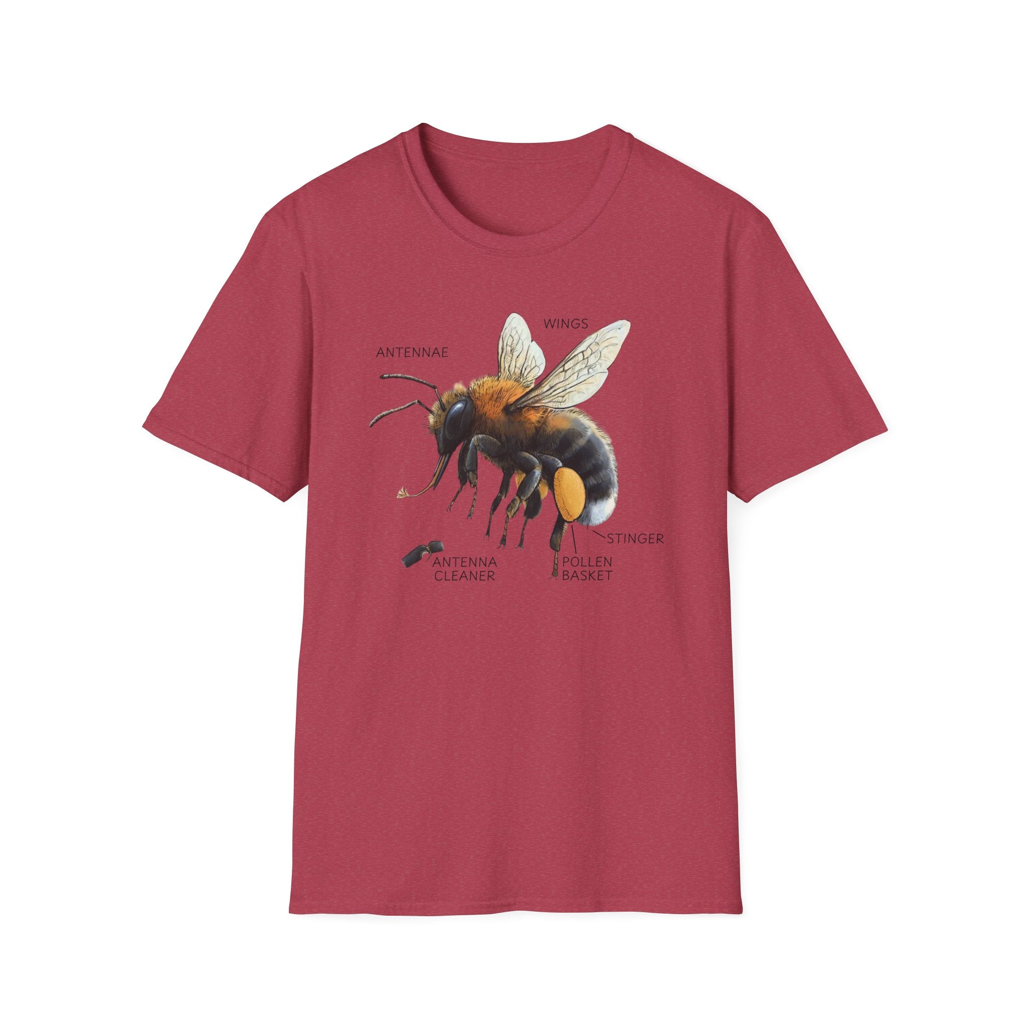 Bee Anatomy T-Shirt — Vintage Scientific Honey Bee Diagram Tee