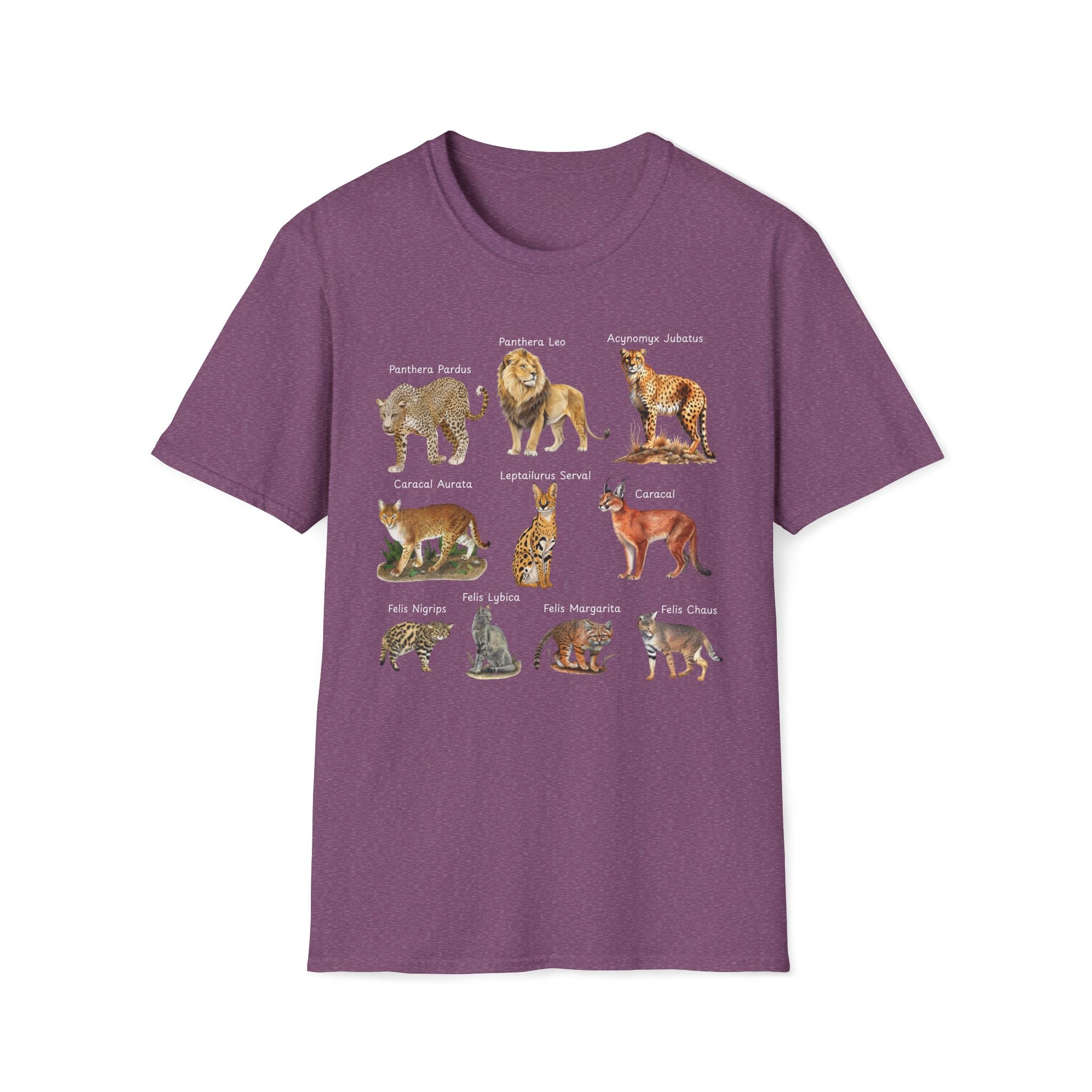 Big Cats Chart T-Shirt — Vintage Illustrated Wild Cat Identification Tee