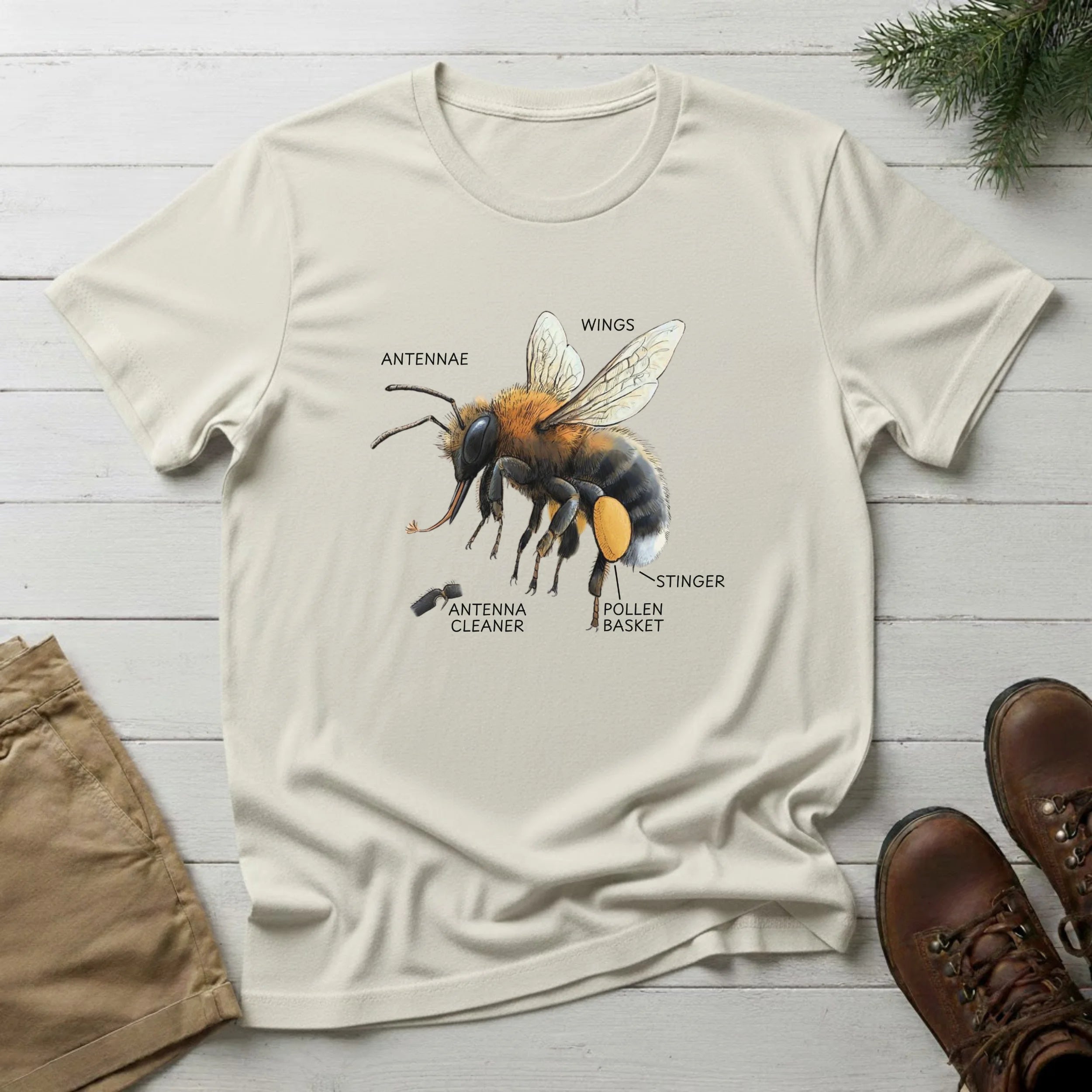 Bee Anatomy T-Shirt — Vintage Scientific Honey Bee Diagram Tee