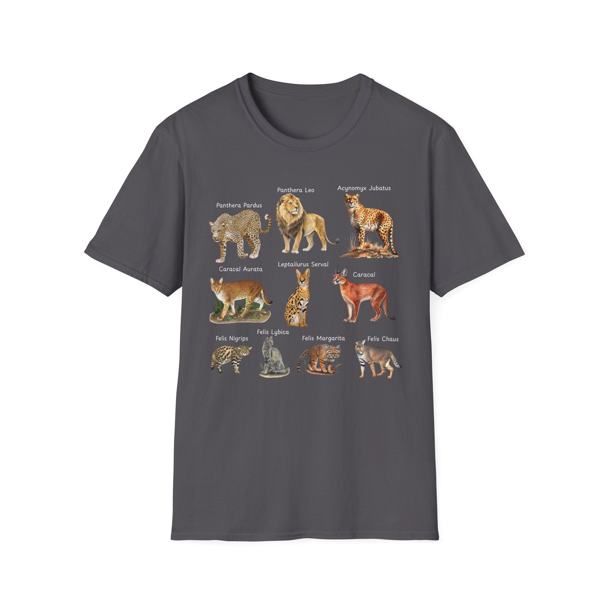 Big Cats Chart T-Shirt — Vintage Illustrated Wild Cat Identification Tee