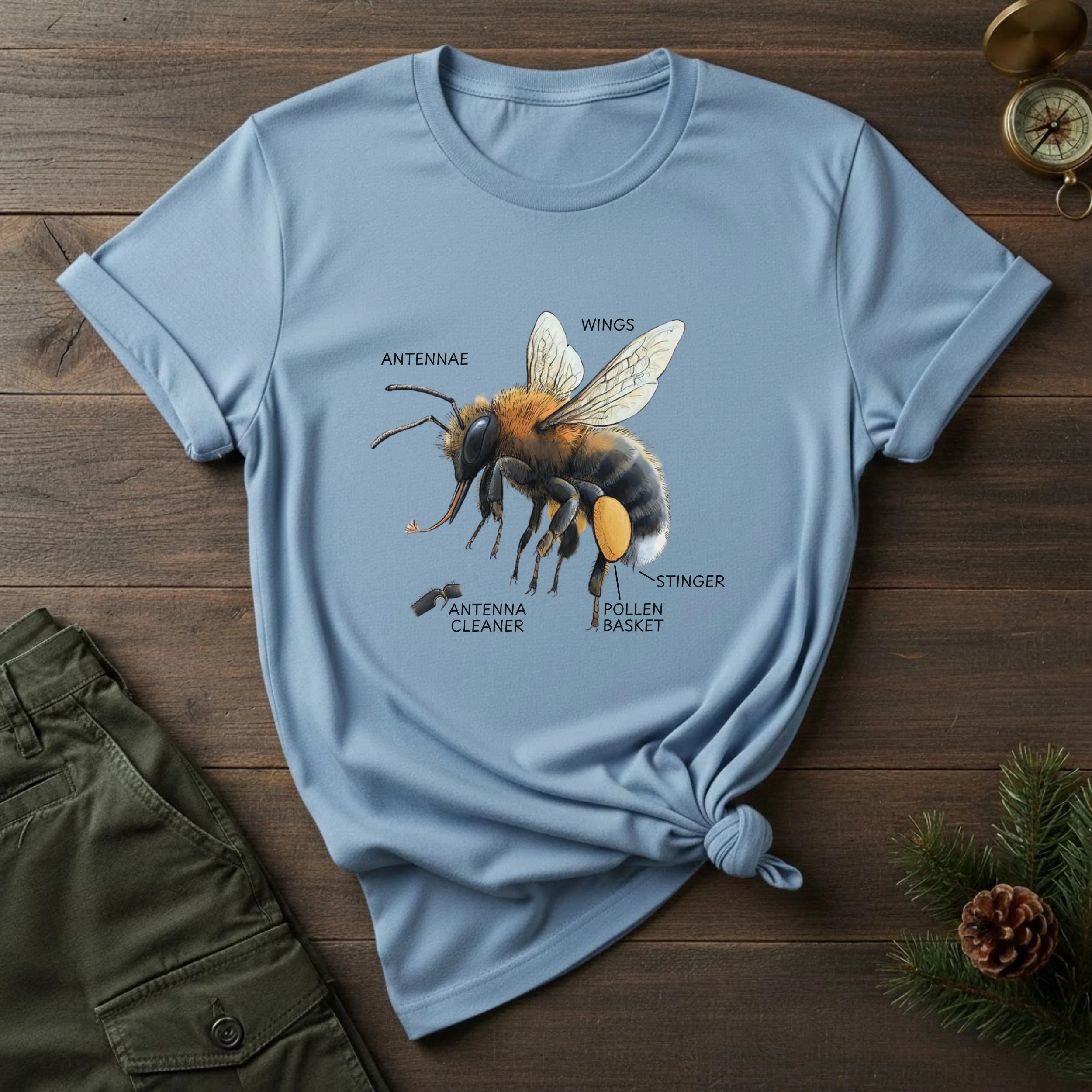 Bee Anatomy T-Shirt — Vintage Scientific Honey Bee Diagram Tee