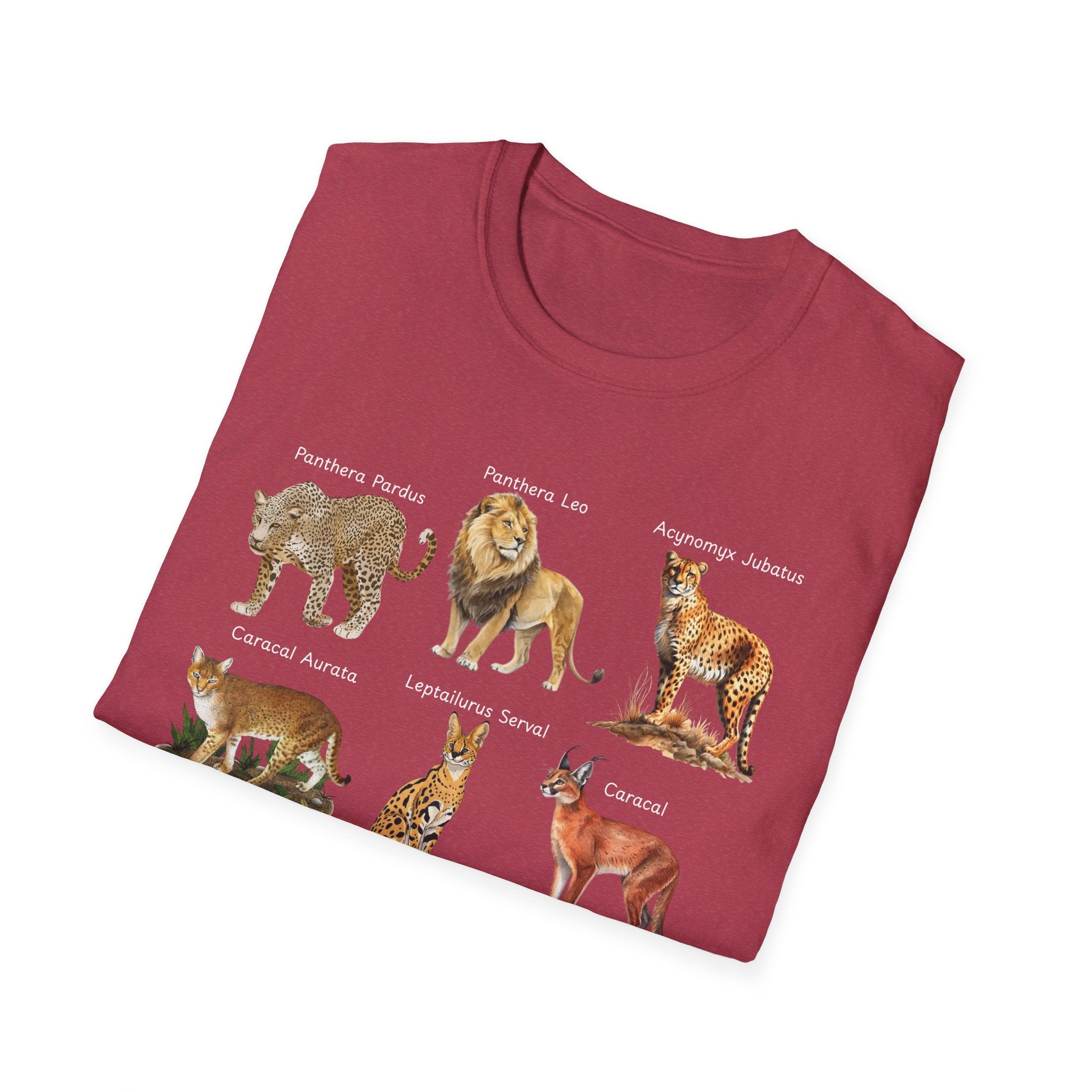 Big Cats Chart T-Shirt — Vintage Illustrated Wild Cat Identification Tee