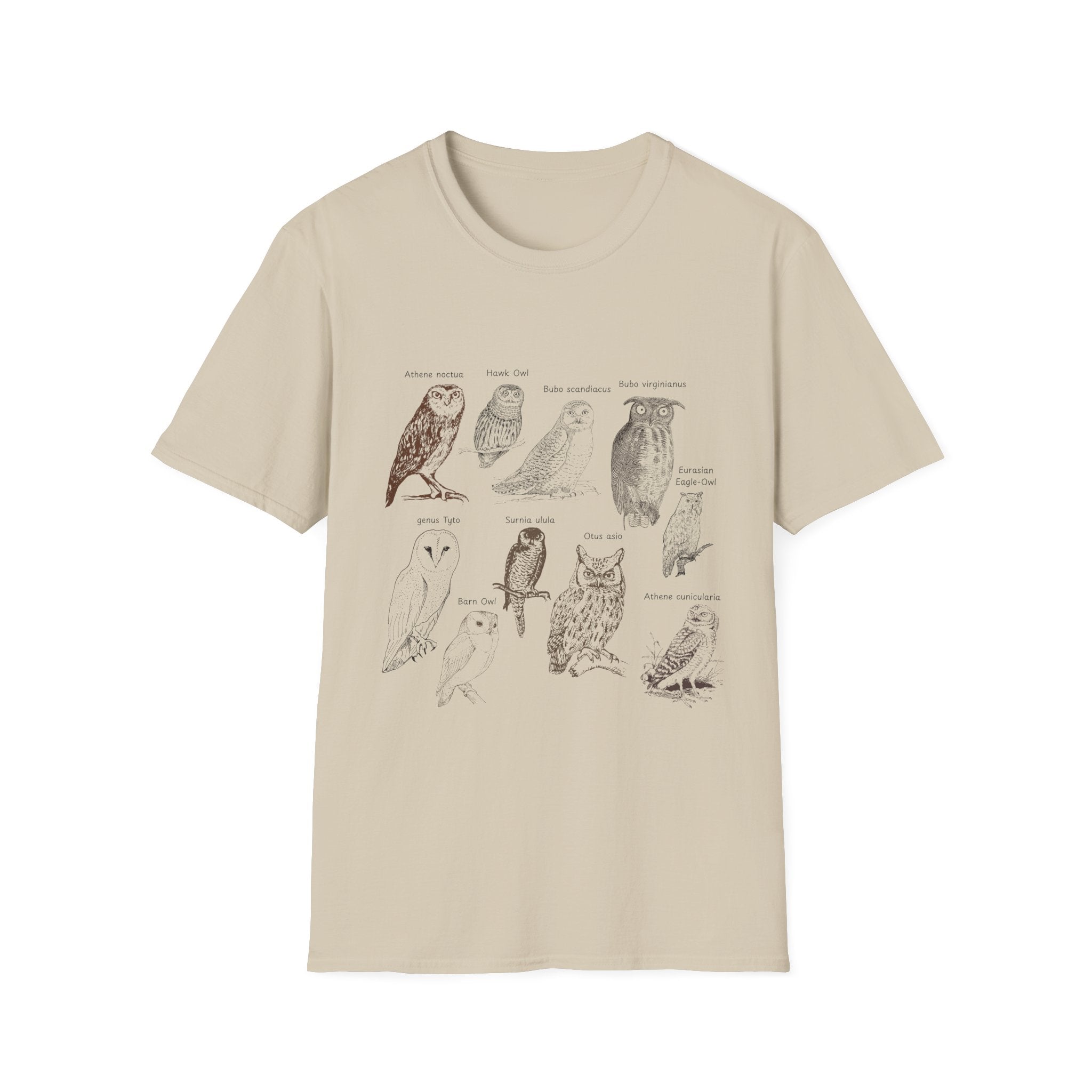 Owl Field Guide T-Shirt — Vintage Bird Illustration Tee
