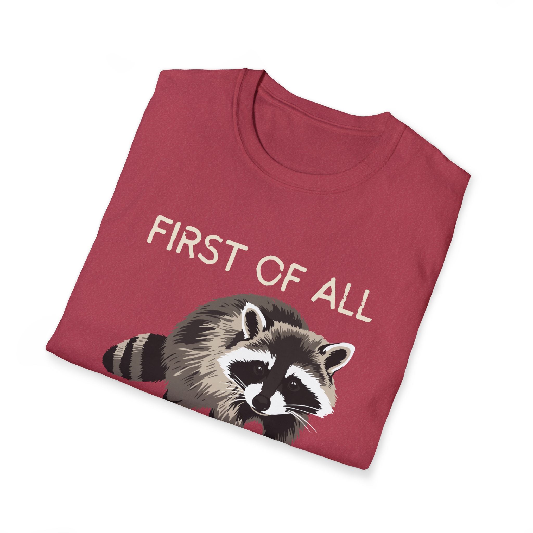 Raccoon ‘First of All I’m a Delight’ Graphic T‑Shirt