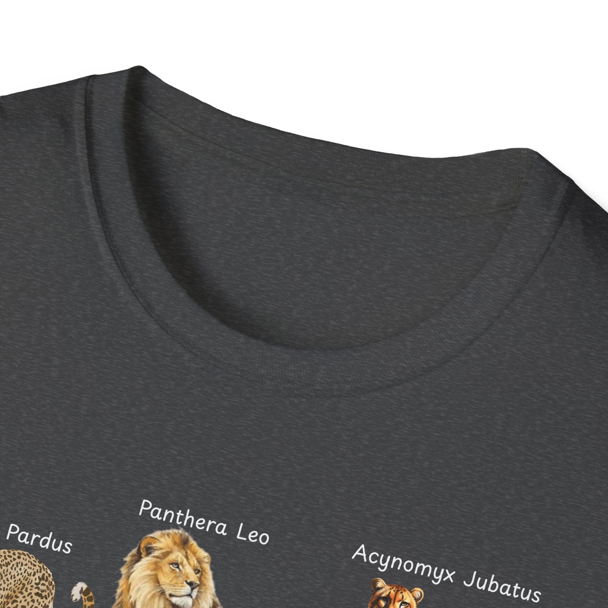 Big Cats Chart T-Shirt — Vintage Illustrated Wild Cat Identification Tee