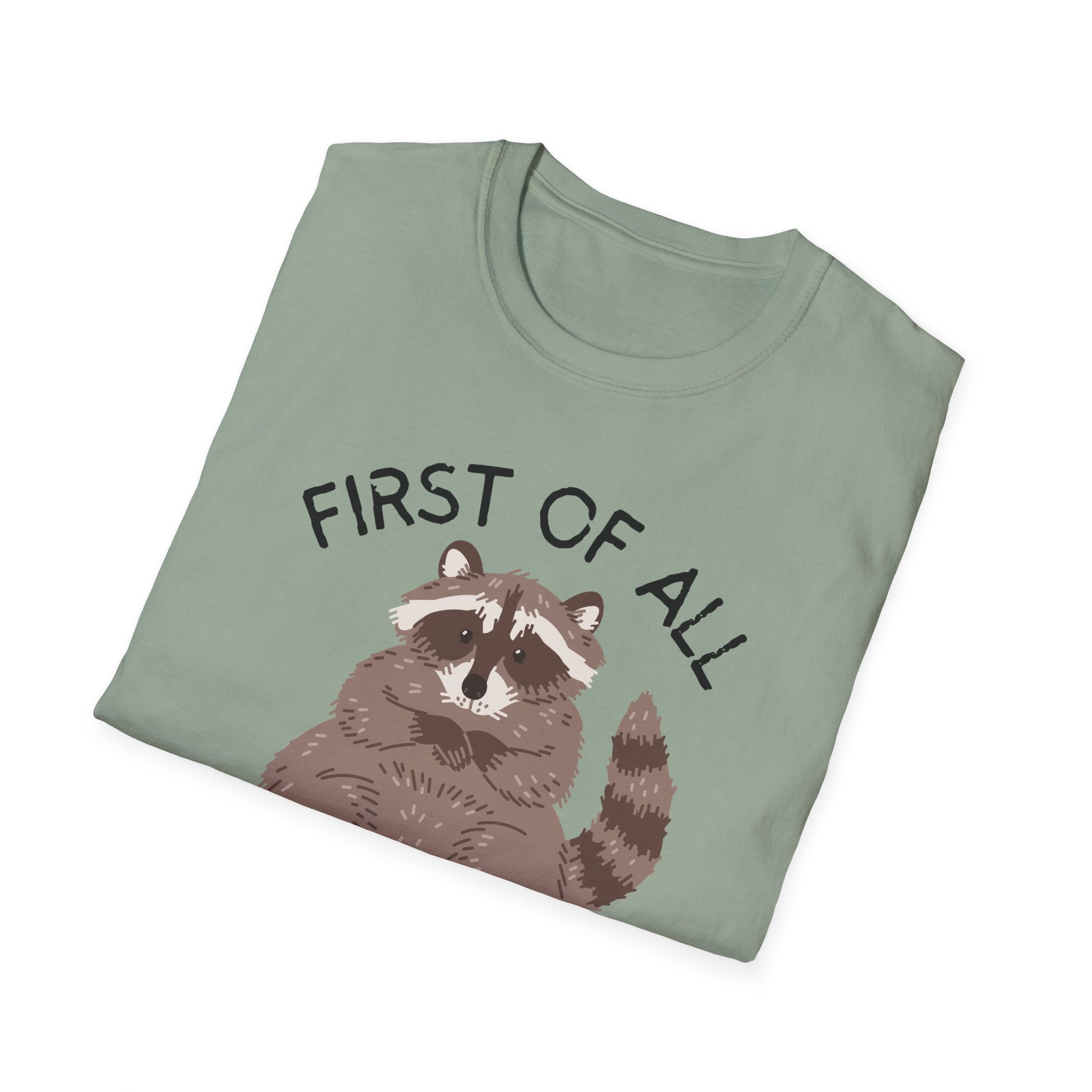 Raccoon 'First of All I'm a Delight' Cute Graphic T-Shirt