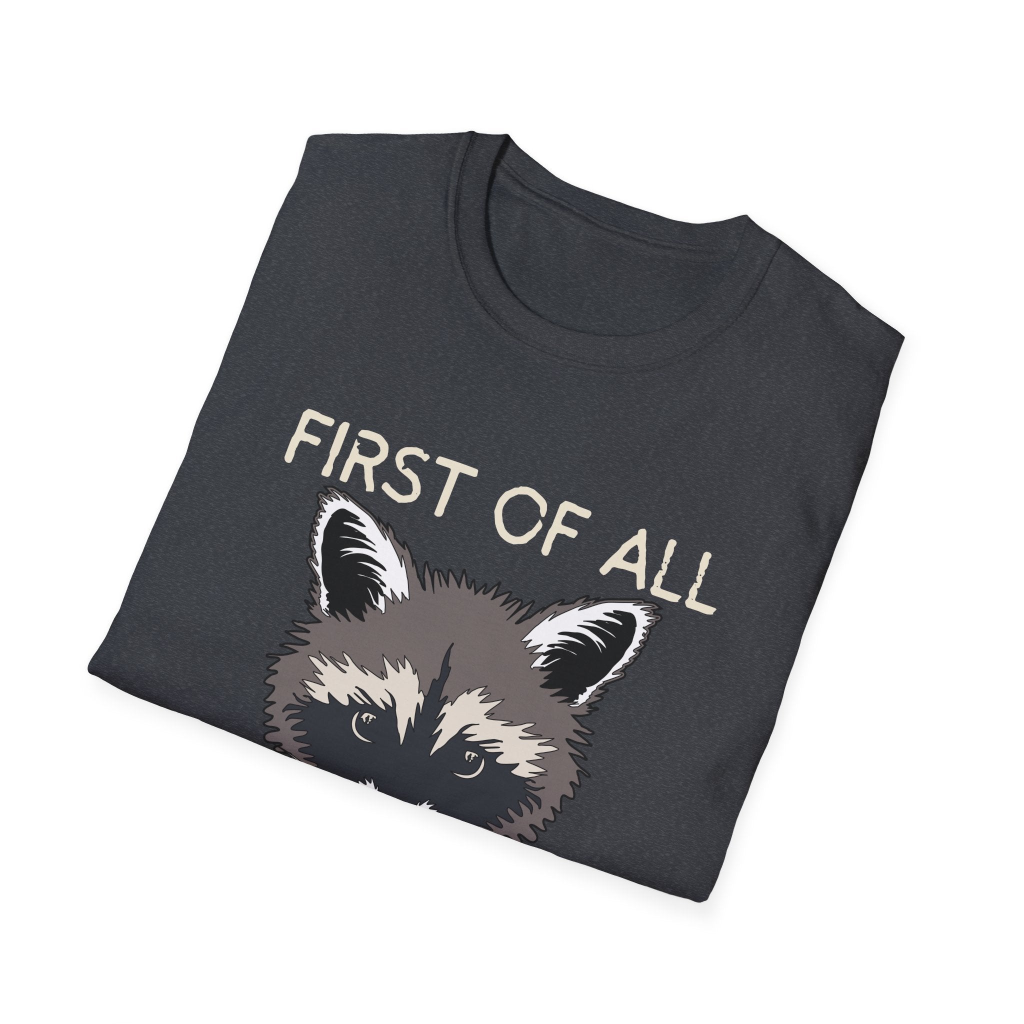 Raccoon 'First of All I'm a Delight' Graphic T-Shirt