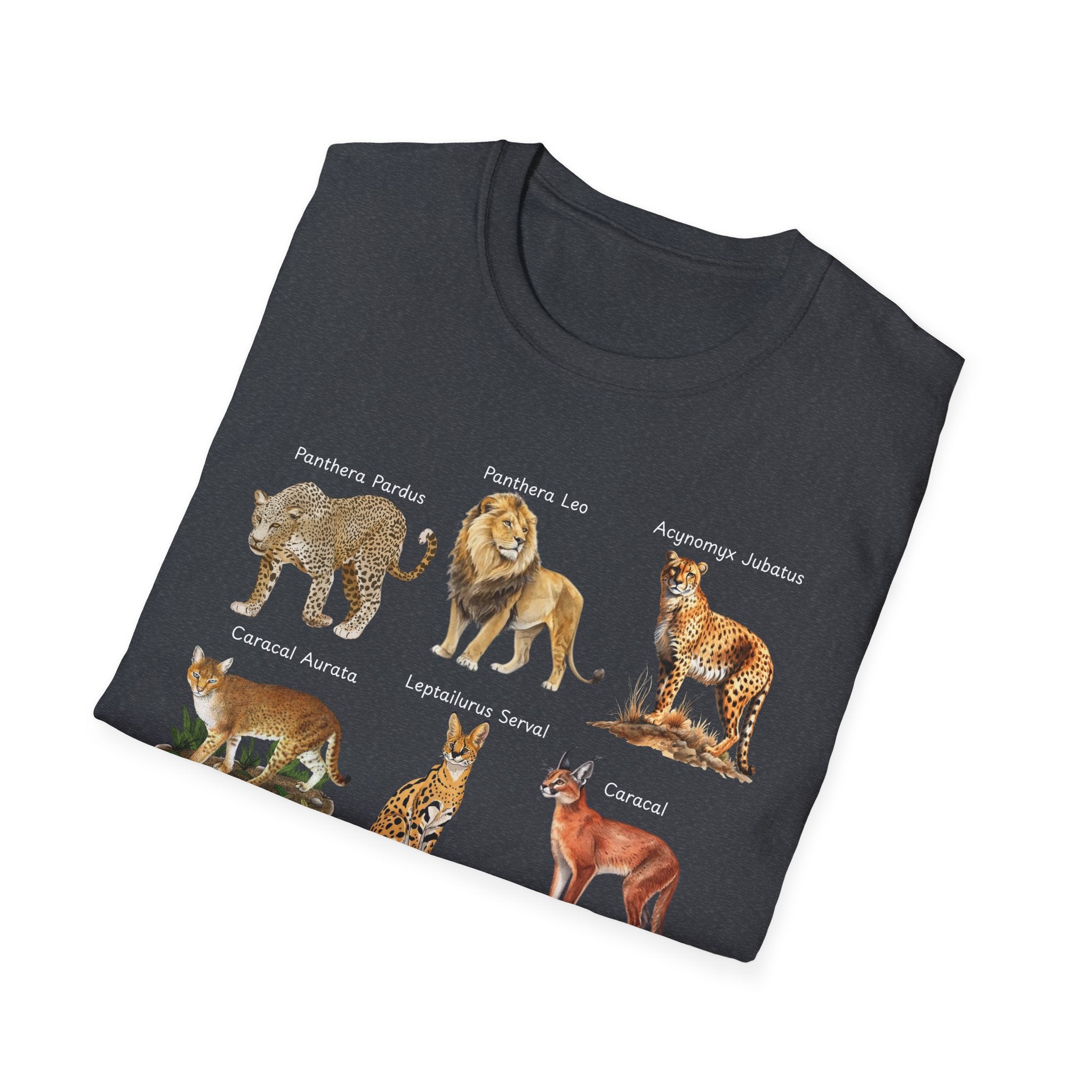Big Cats Chart T-Shirt — Vintage Illustrated Wild Cat Identification Tee