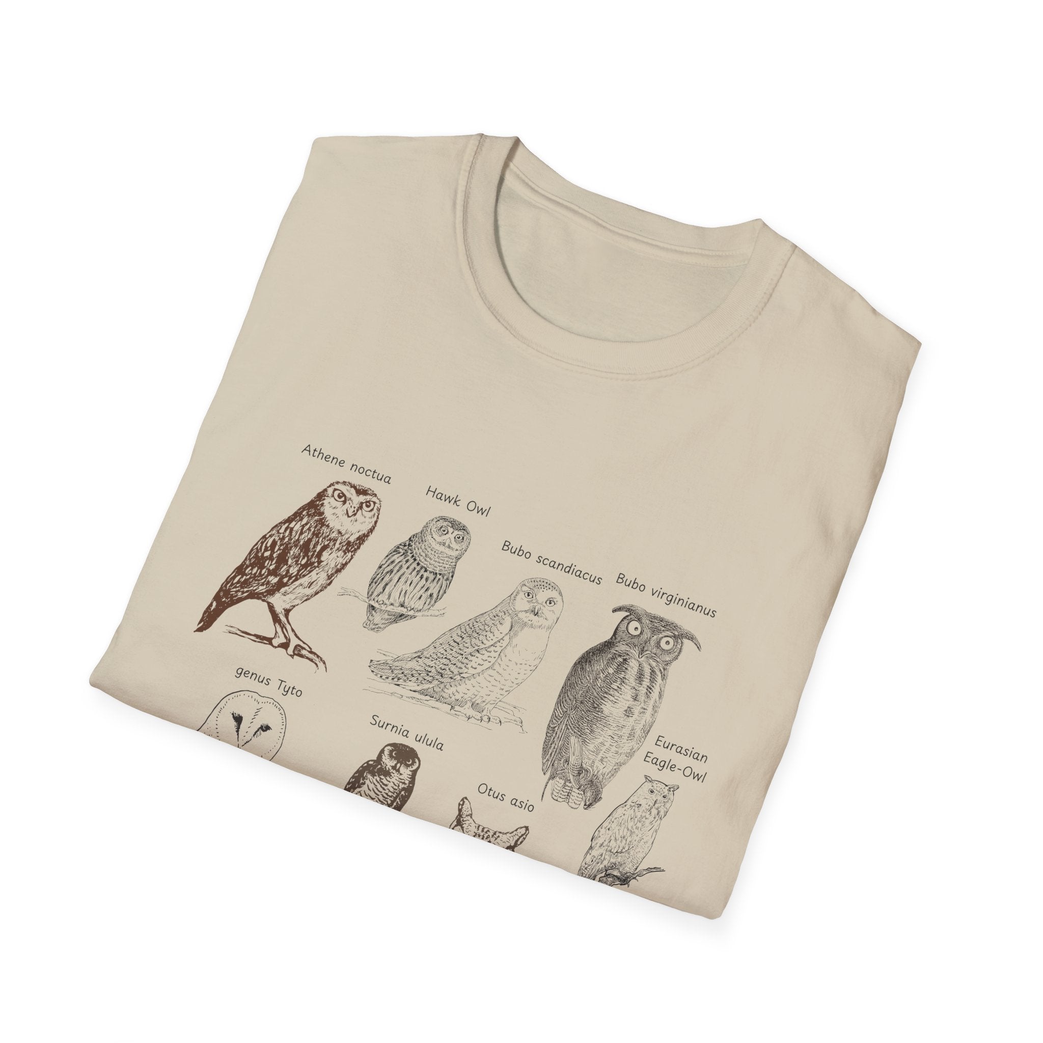 Owl Field Guide T-Shirt — Vintage Bird Illustration Tee
