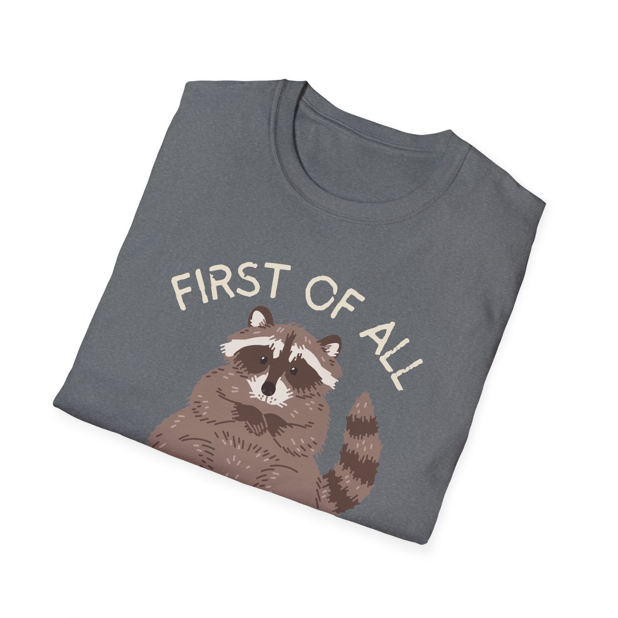 Raccoon 'First of All I'm a Delight' Cute Graphic T-Shirt