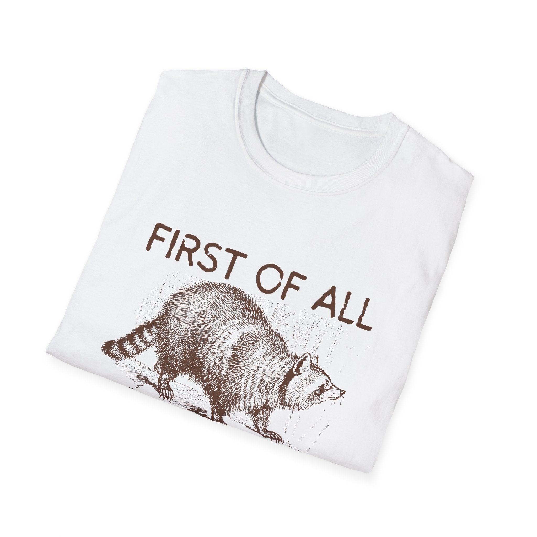 T-Shirt — “First Of All I’m A Delight” Raccoon Vintage Graphic Tee
