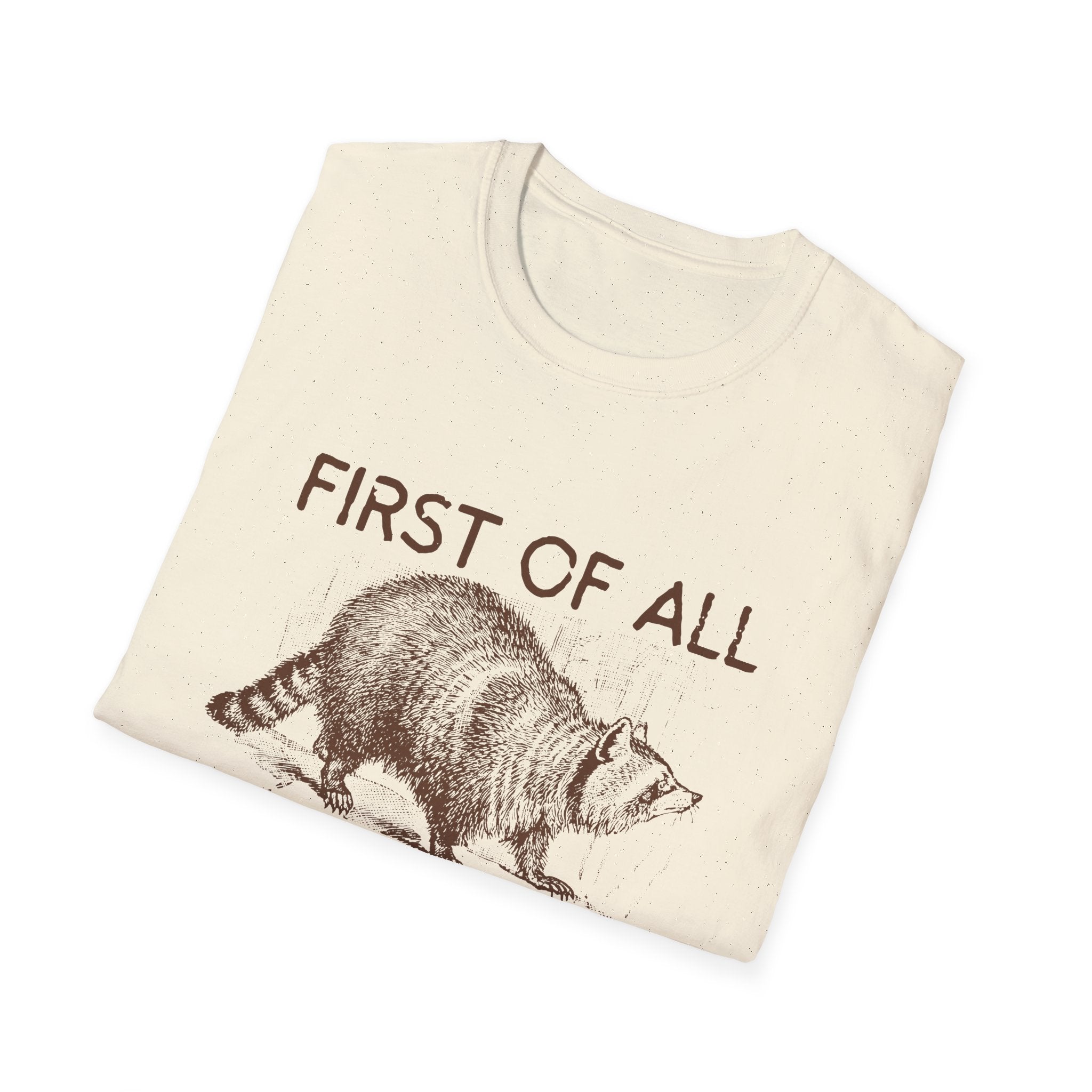 T-Shirt — “First Of All I’m A Delight” Raccoon Vintage Graphic Tee